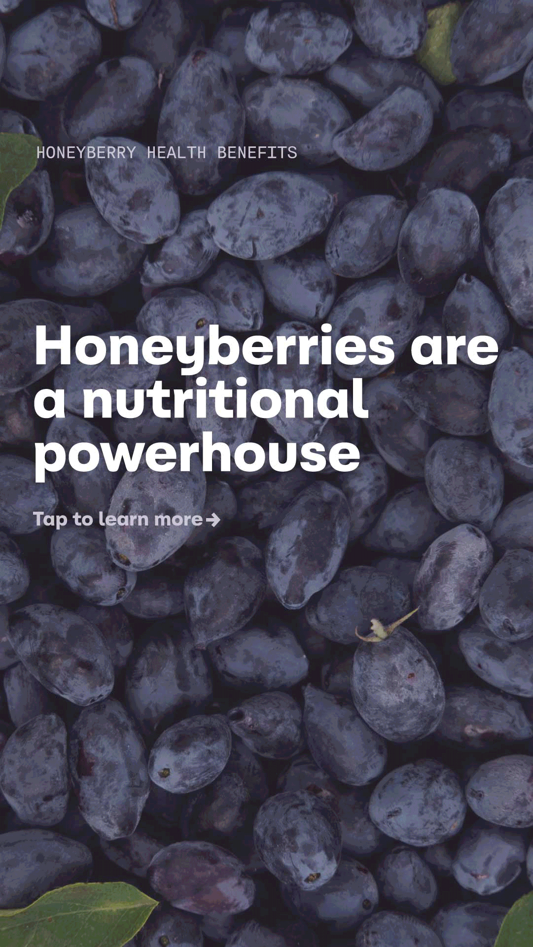 BSHB_Story_Health.gif