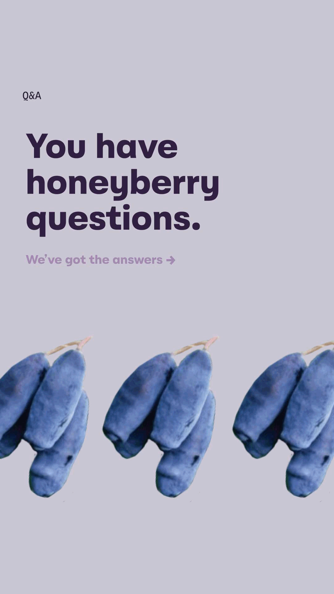 BSHB_Story_QA1.gif