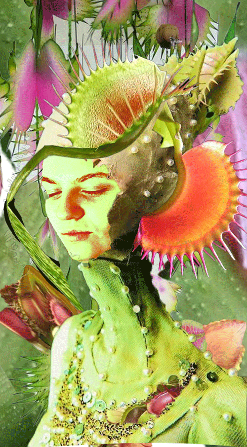 venus - digital collage