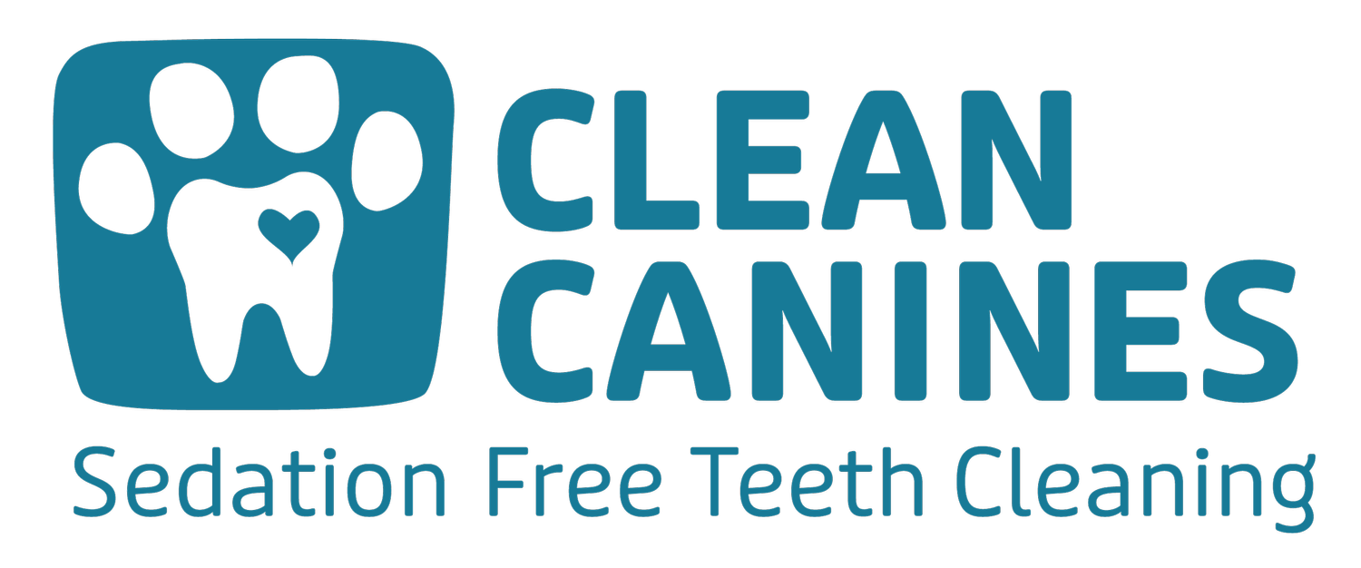Clean Canines