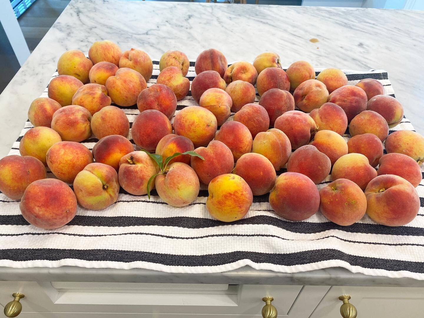 Todays harvest from our peach tree😍 bringing in these sweet things with the little one made me so so happy. I thought to myself, &ldquo;Why did I not live this way long ago? #peaches #homestead #blessedandgrateful