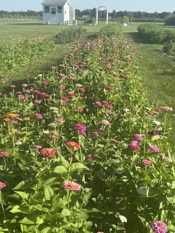 Private Evening at the Flower Farm