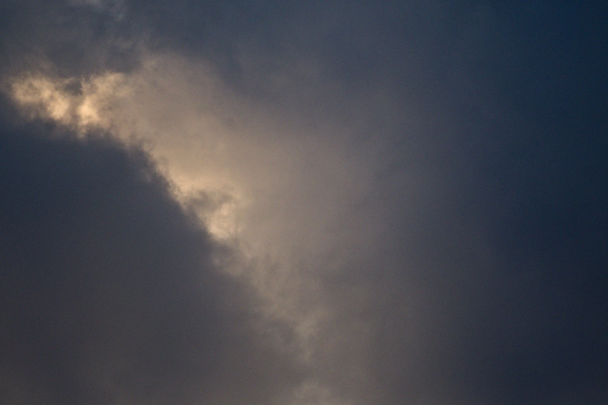 DSC_5125.jpg