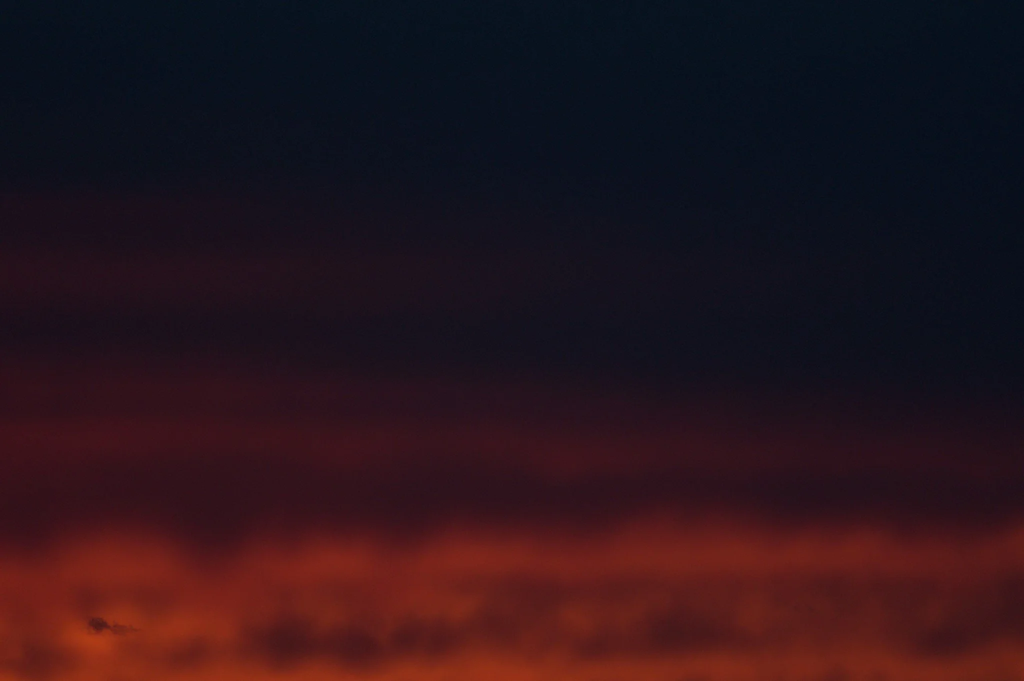 DSC_4611.jpg