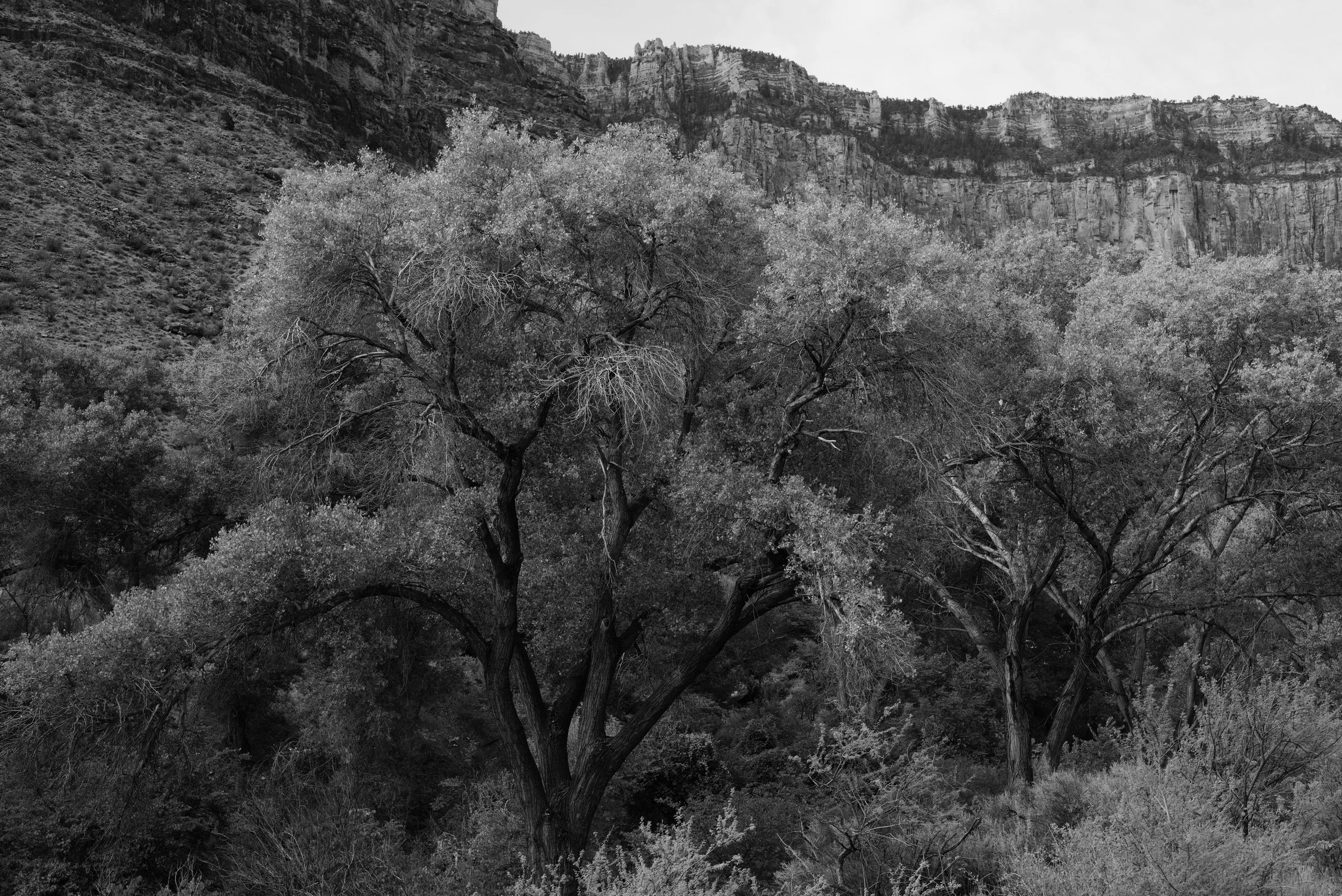 Image00005.JPG