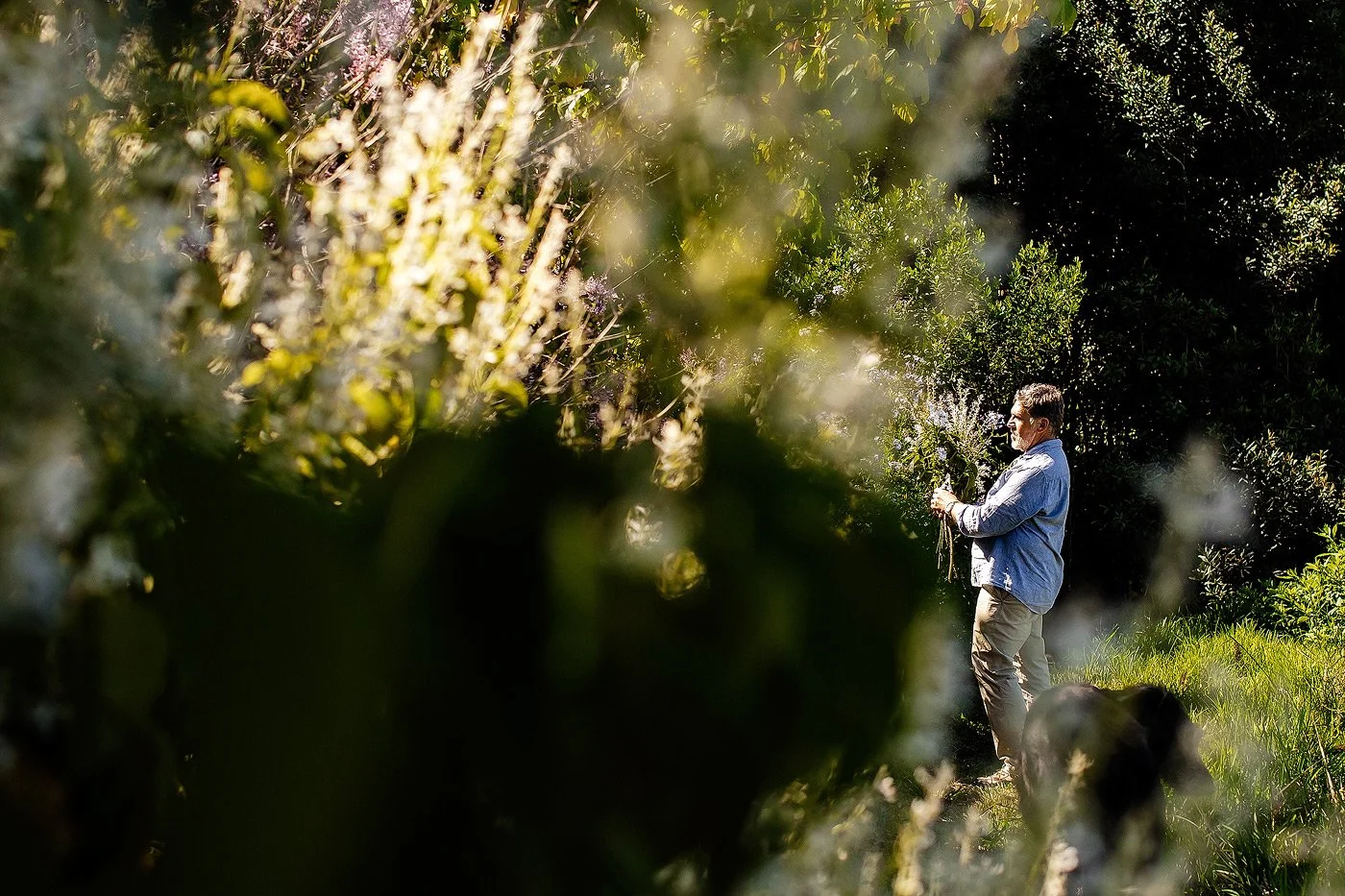 09_Floral-editorial-shoot-with-DP-and-Hannes-of-Ecozest-.jpg