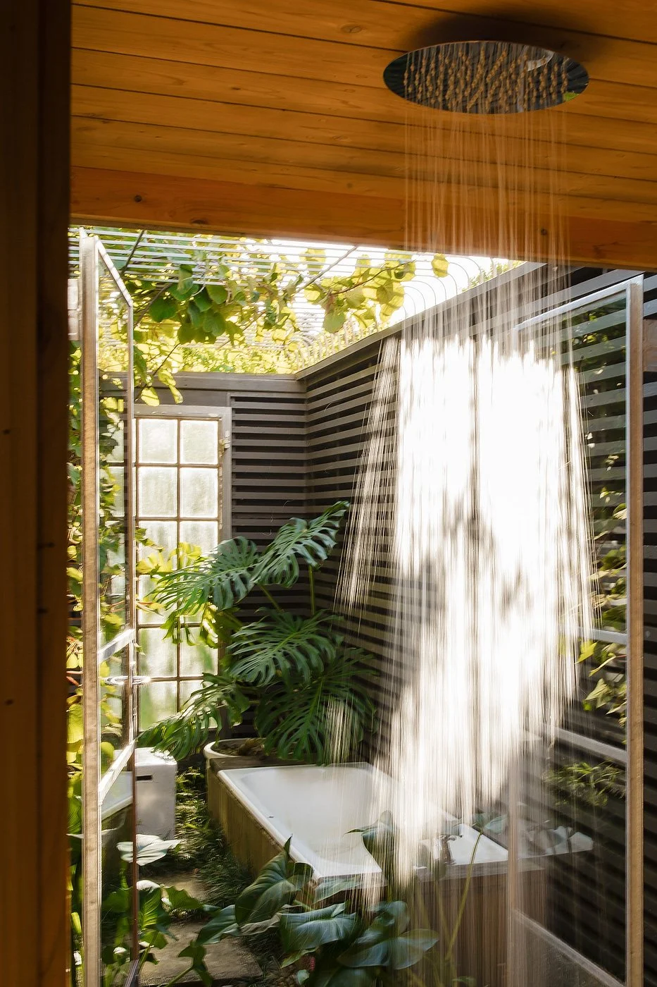 An outdoor shower with water running over a wooden ceiling, surrounded by lush green plants, including a large monstera. There is a window and black slatted walls, creating a serene, natural space.