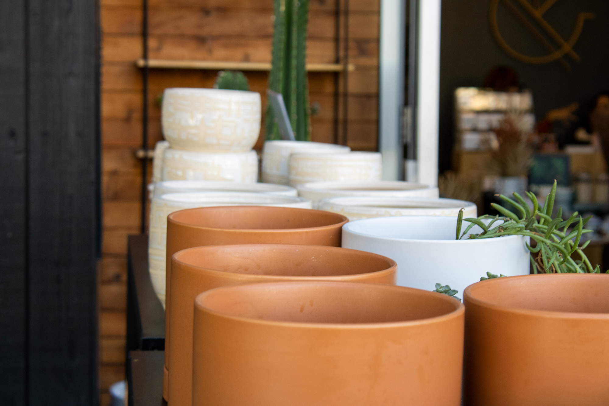 pots.png