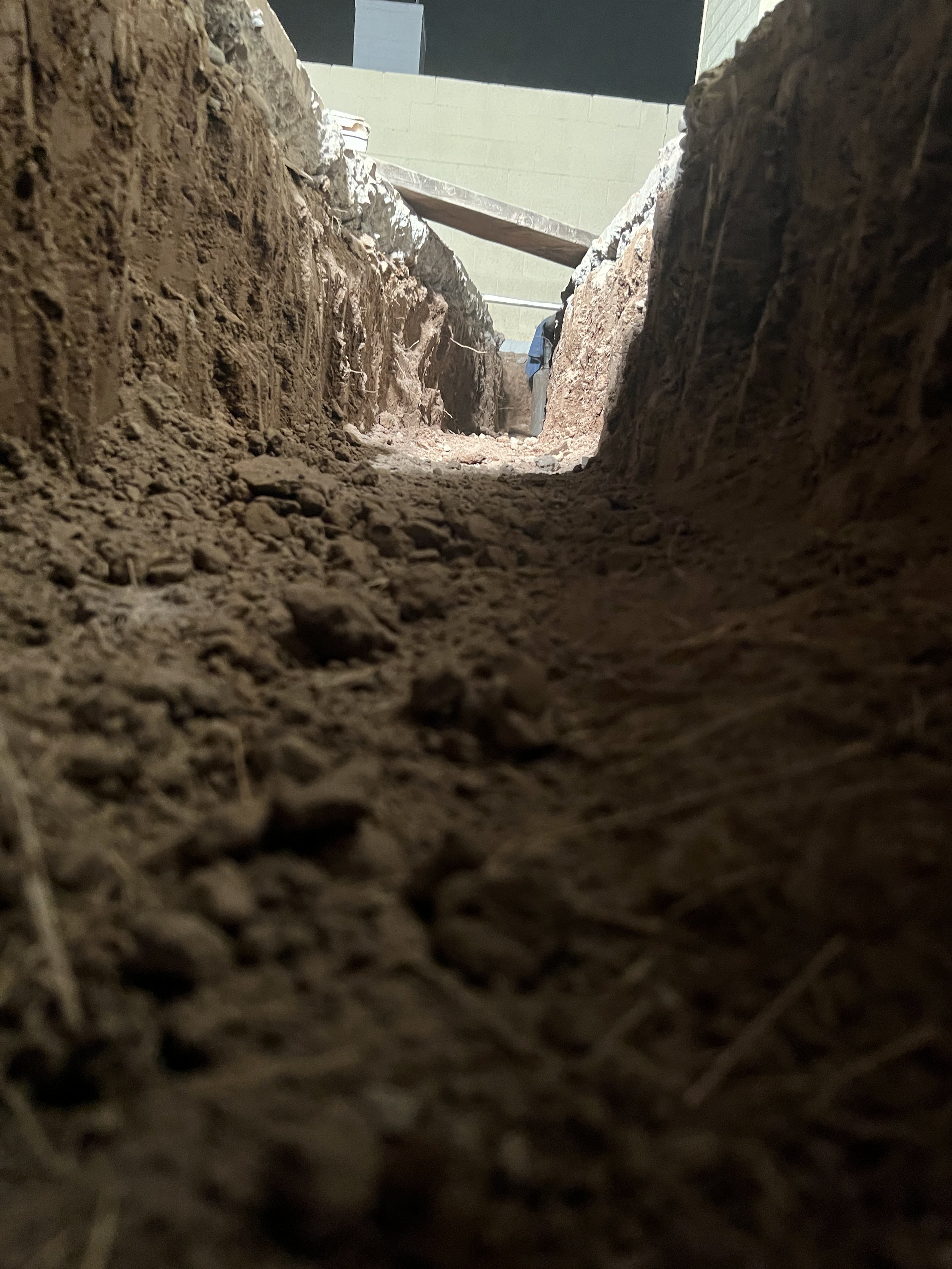 A view at ground level