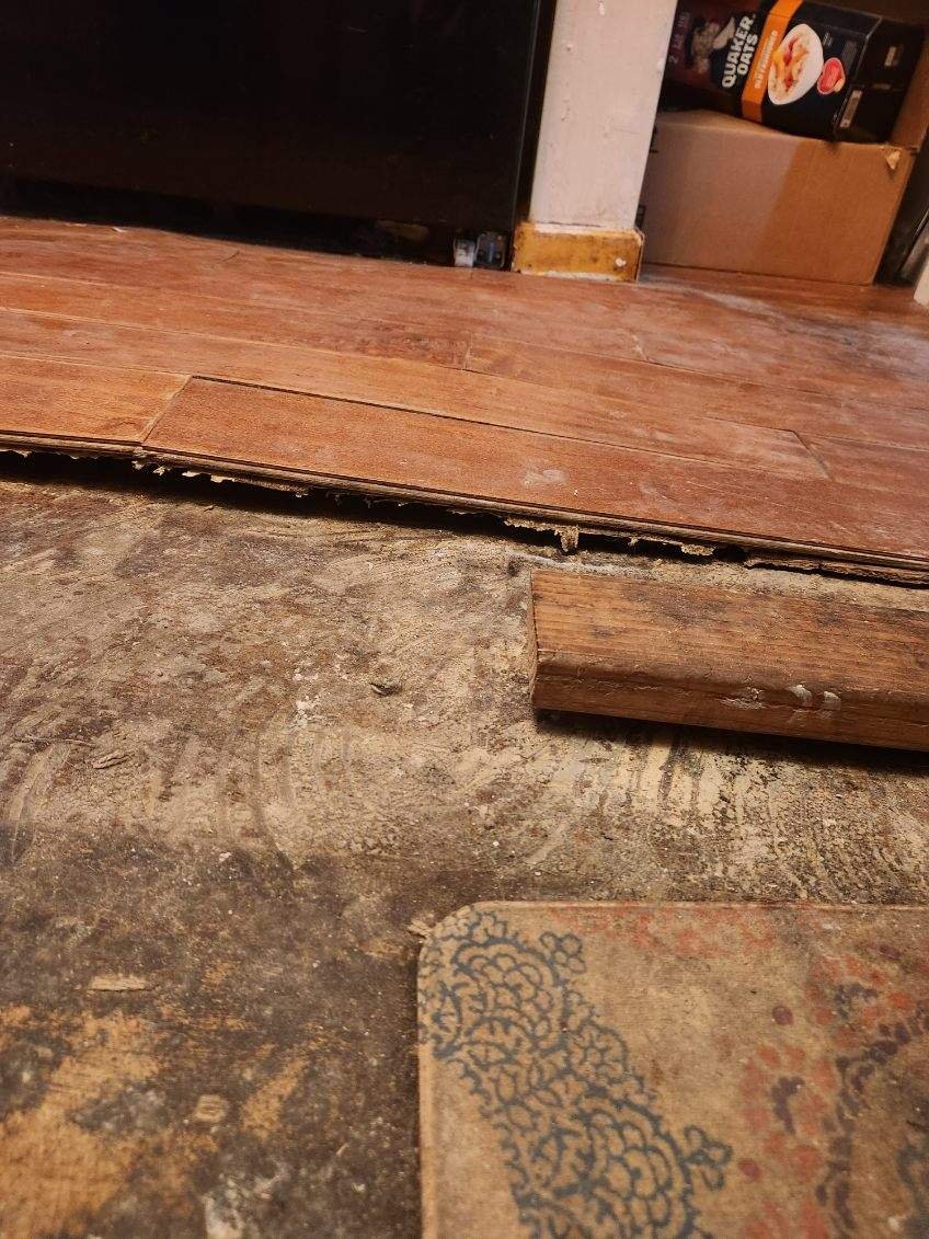 Wood flooring has water damage