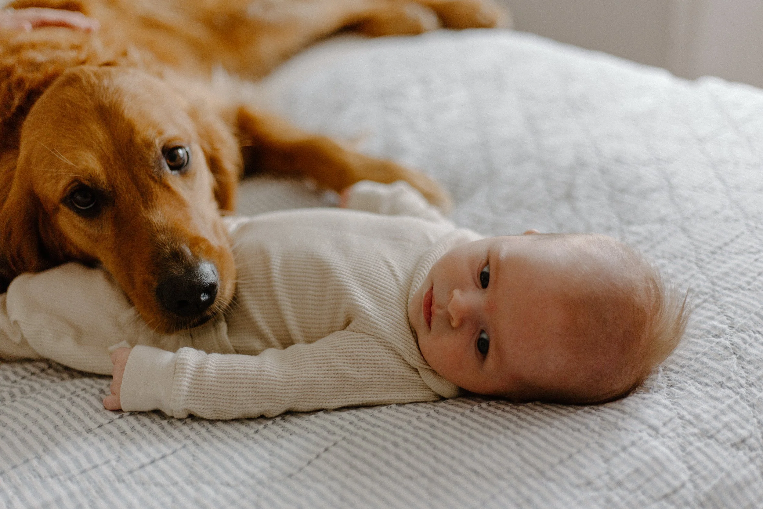 Grow_Family-97.jpg