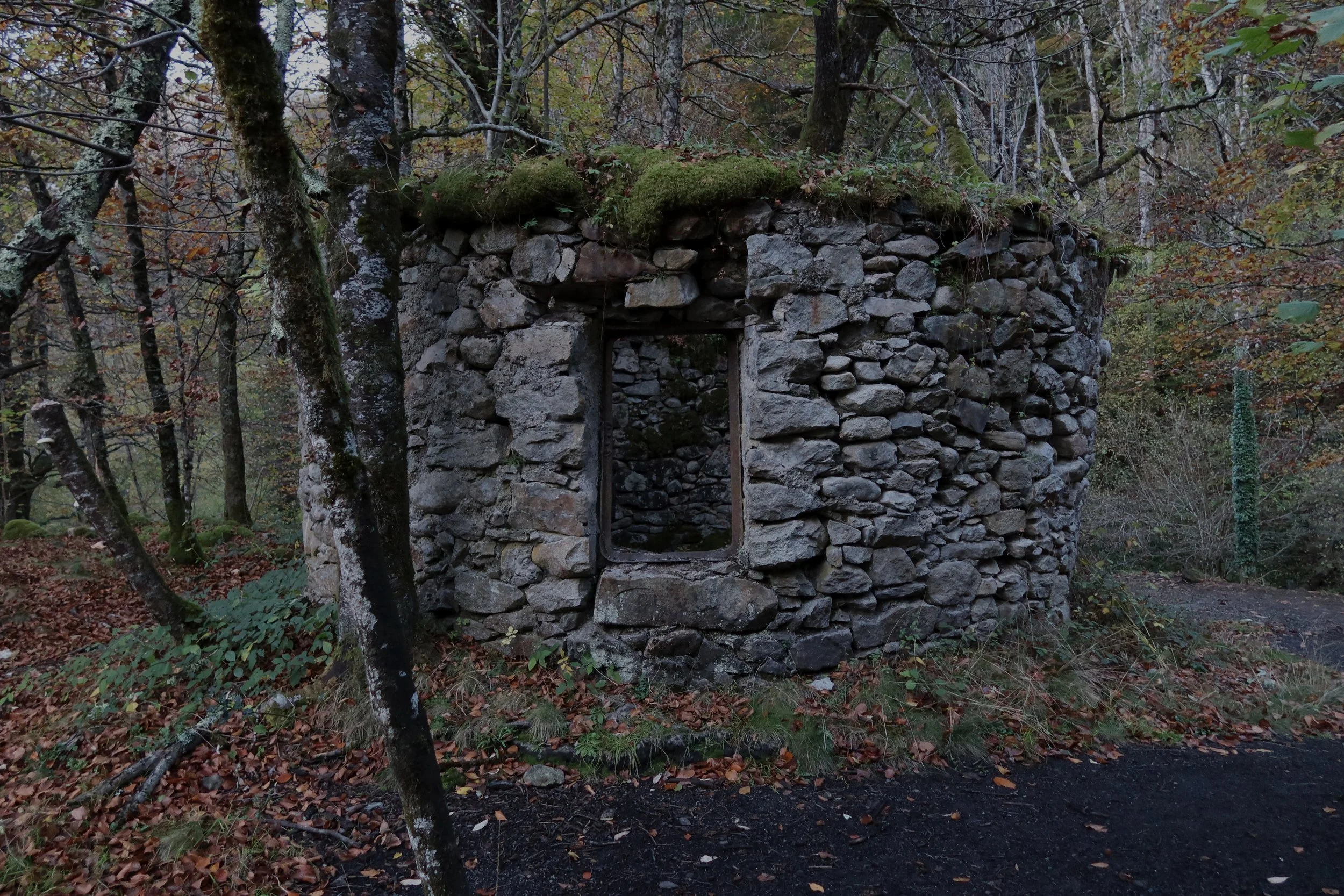 3. ROTUNDA_WINTERVILLAGE_ IMG_0556.JPG