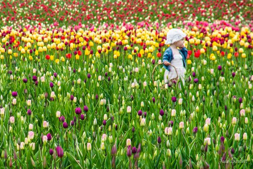 tulip+darling+girl-2798.jpg