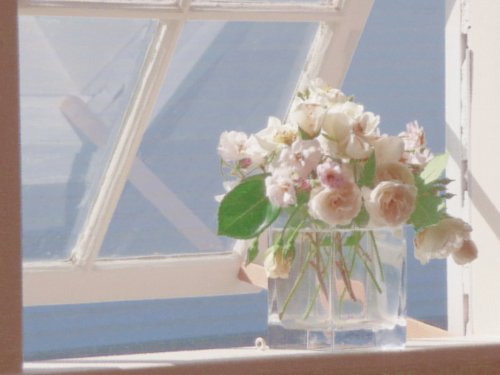 Roses+in+Window+Webres+PA.jpg