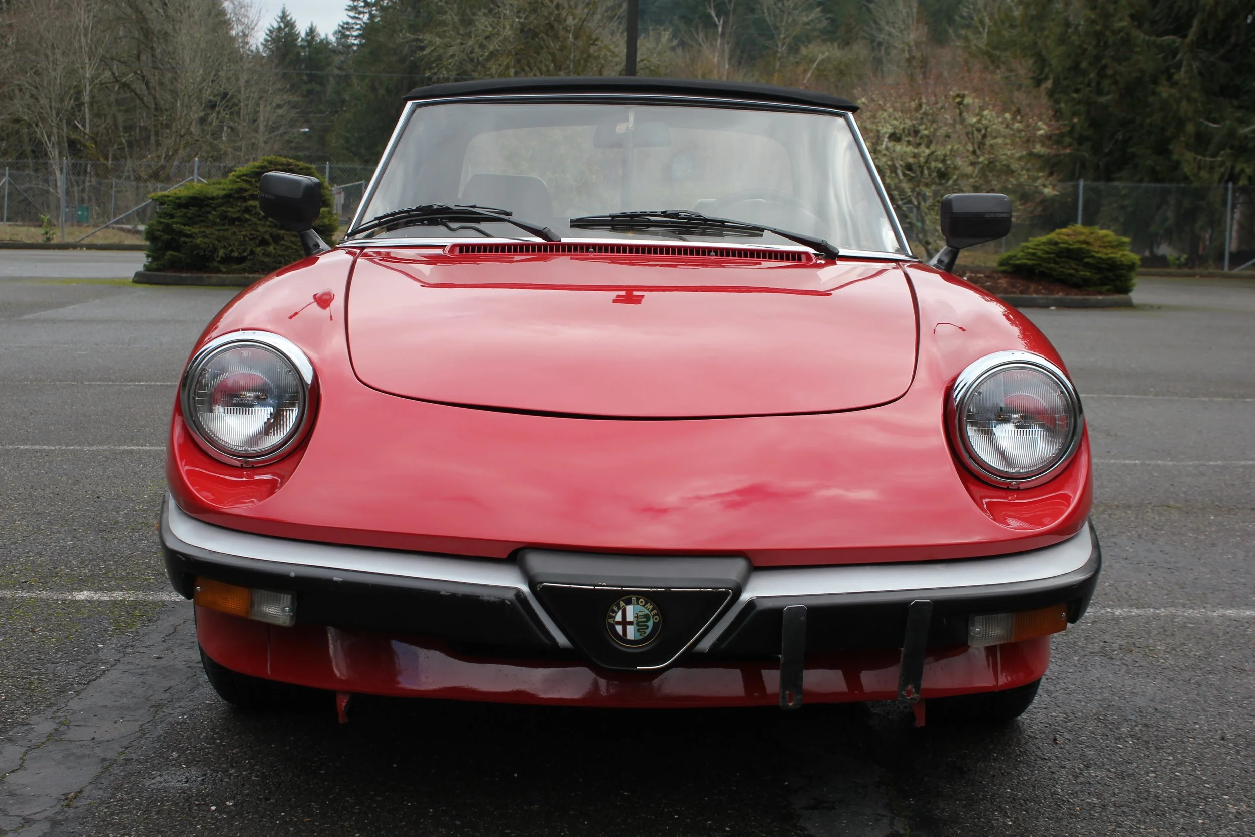 1986 Alfa Romeo Spider Veloce — Cosmopolitan Motors LLC.