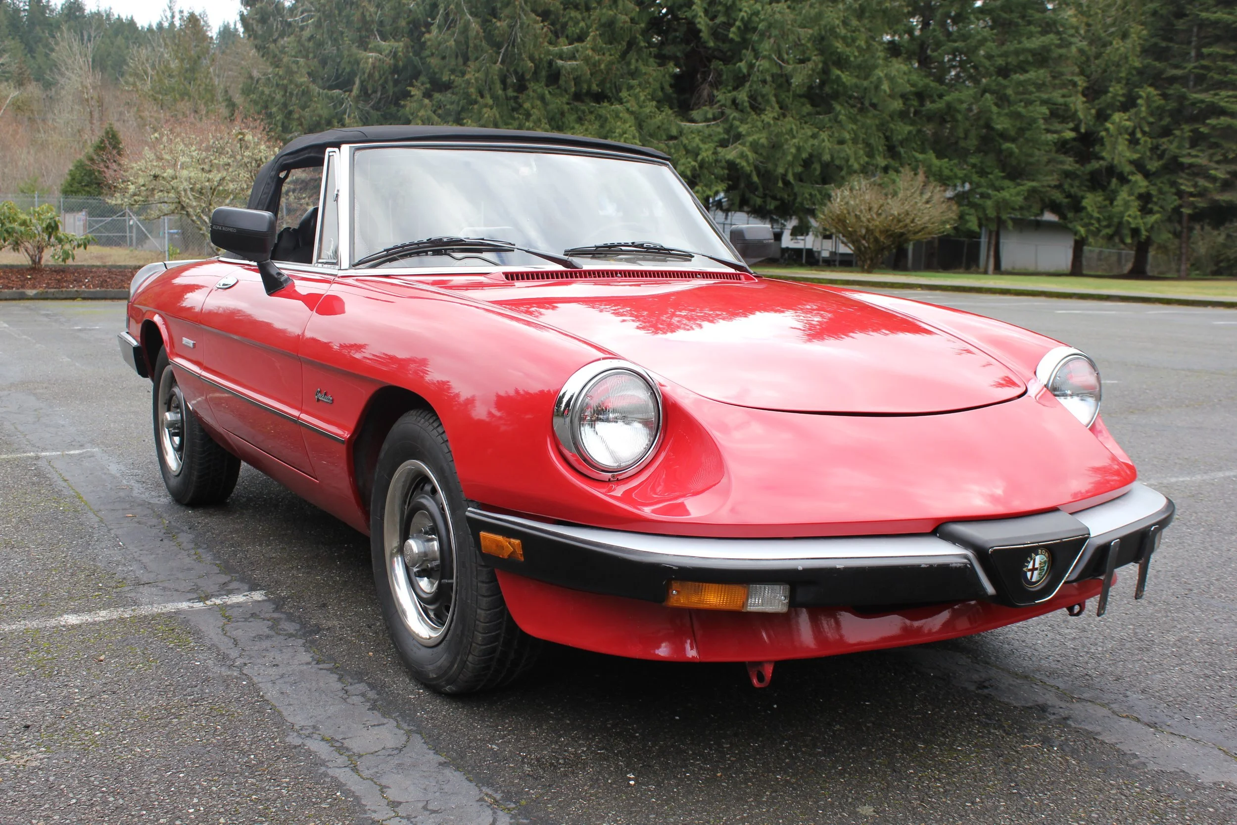 1986 Alfa Romeo Spider Veloce — Cosmopolitan Motors LLC.