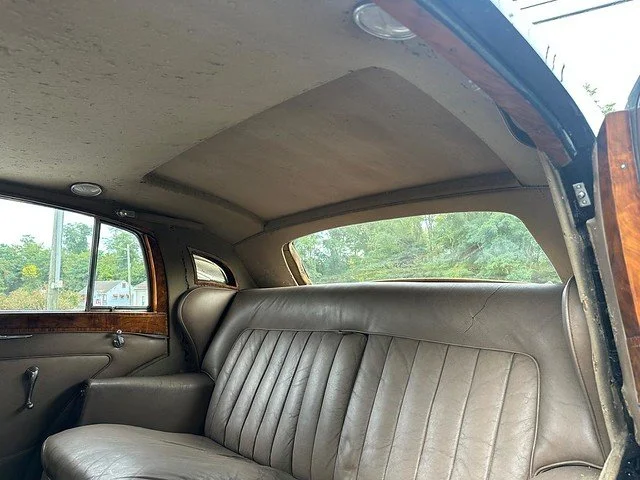 54823630446_9db209e93a_z (1).jpg