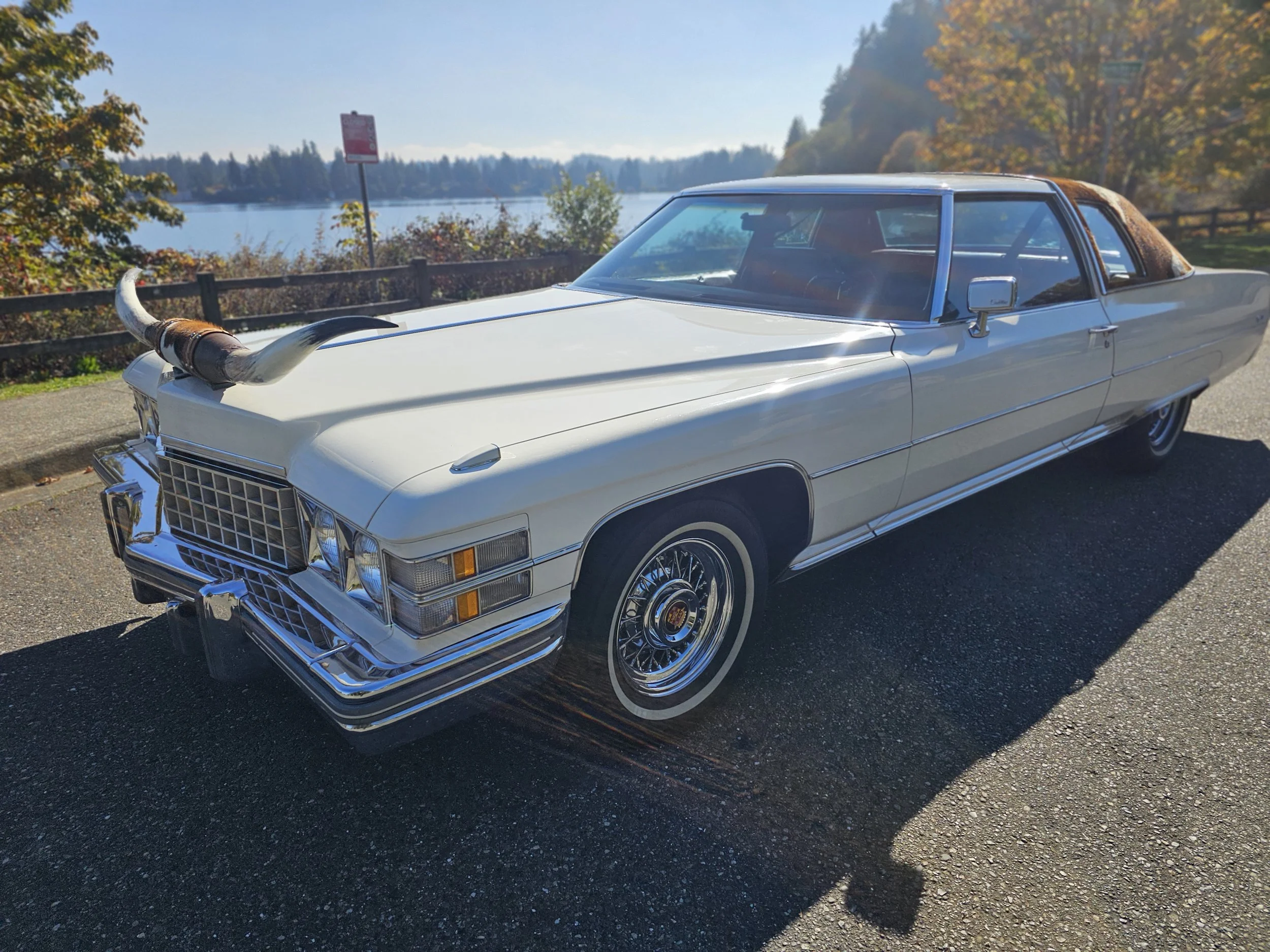 1974 Cadillac Coupe de Ville