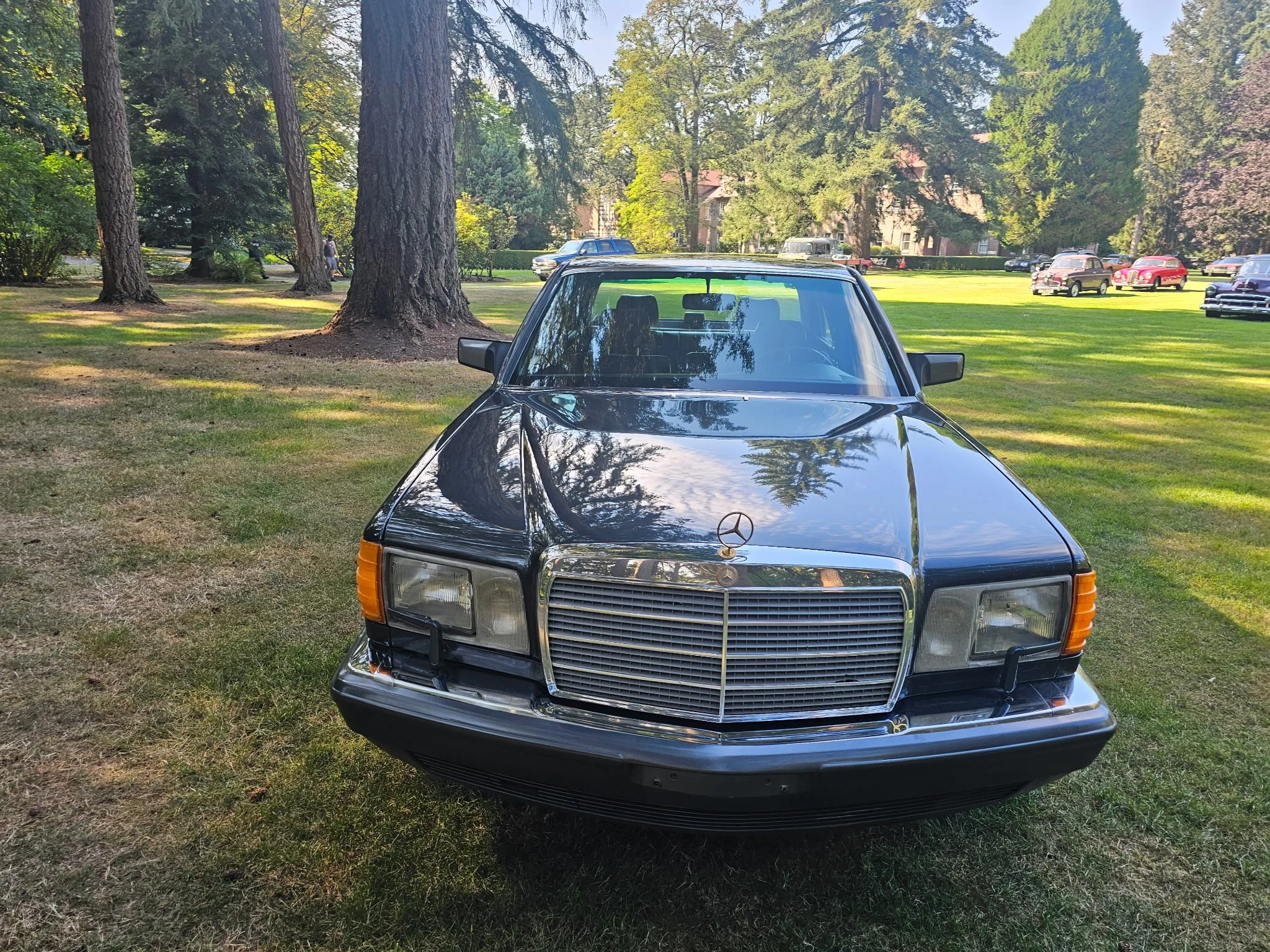 856(8).jpg