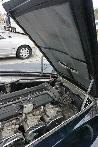 33835016366_b2690ec4f7.jpg