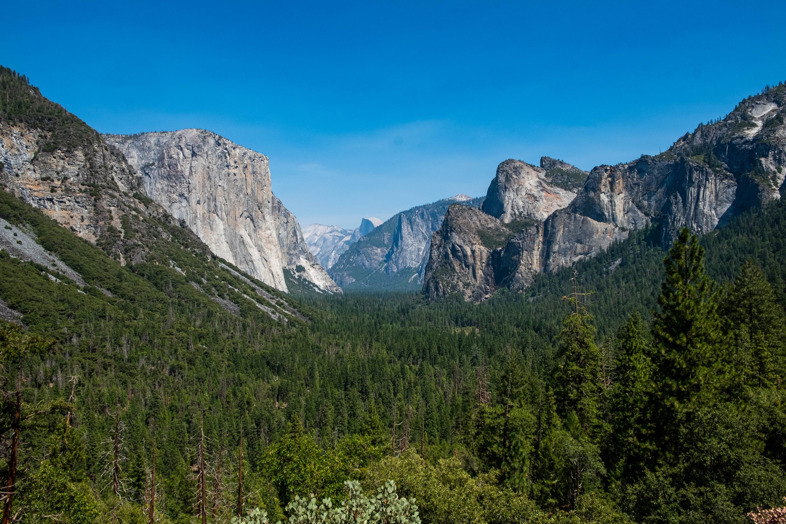 California, 2021 & 2023