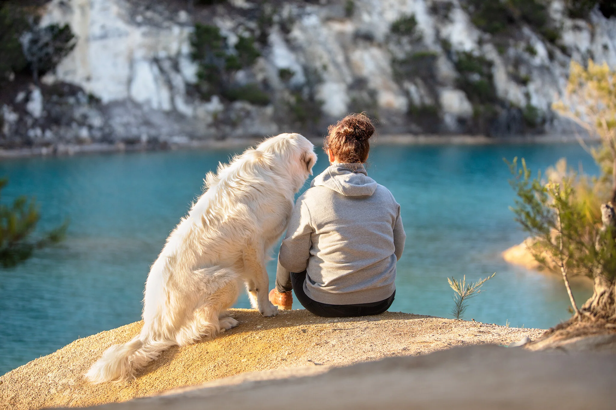 🌷🌹 We wanted to wish all the pet parents out there a Happy Mother's day! If you are celebrating today, we hope you have a great day spending time with your furred, feathered, scaled or finned family! 🐶🐱🐰🐹🐦🐴🐠