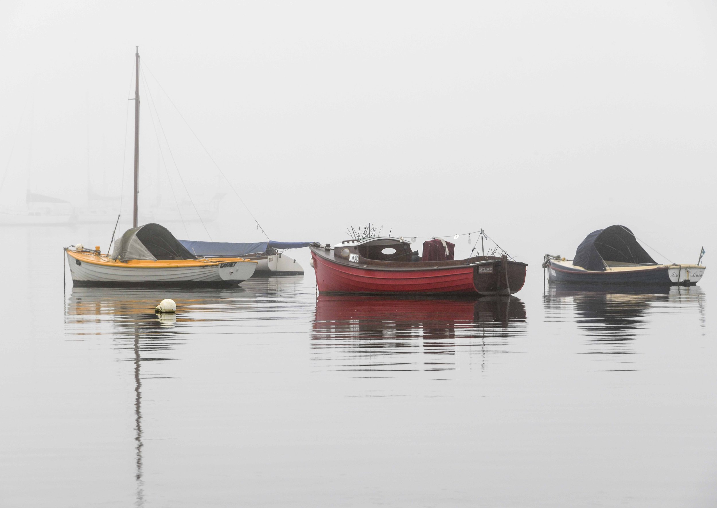 Foggy Morning 2