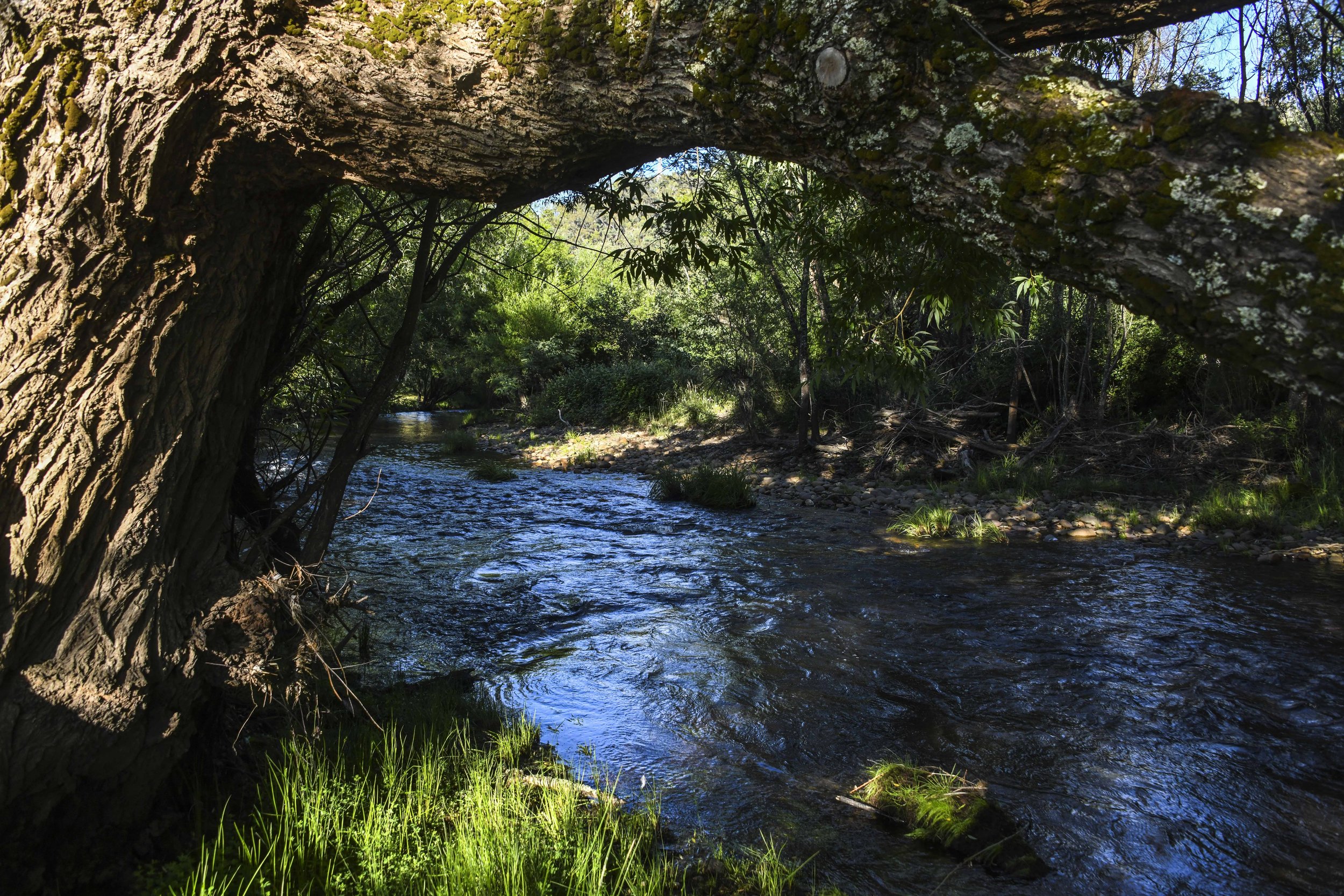 Jamieson, Victoria