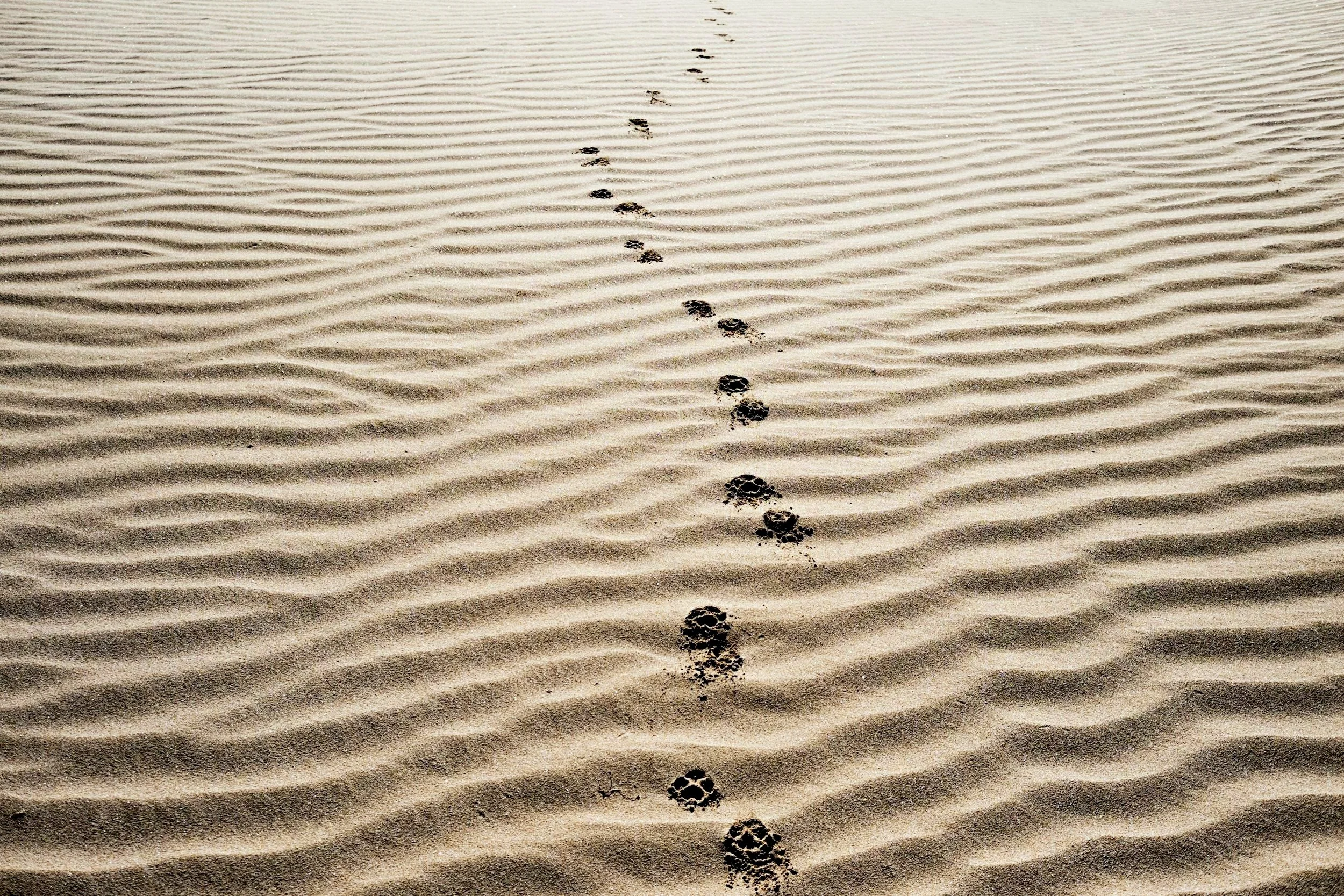 What Makes a Successful Brand Strategy?