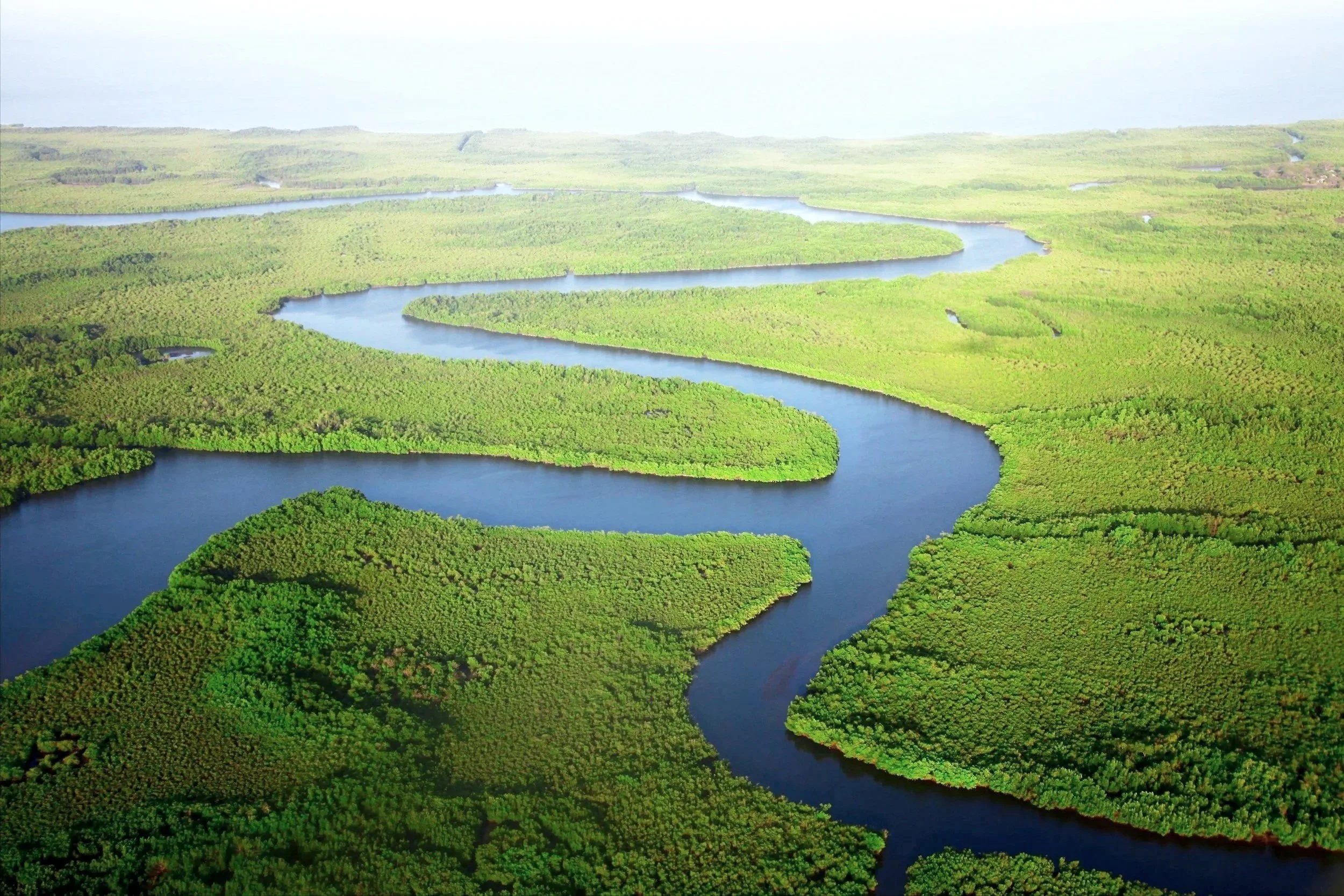 Aerial view of a winding river cutting through lush green wetland and forested areas.