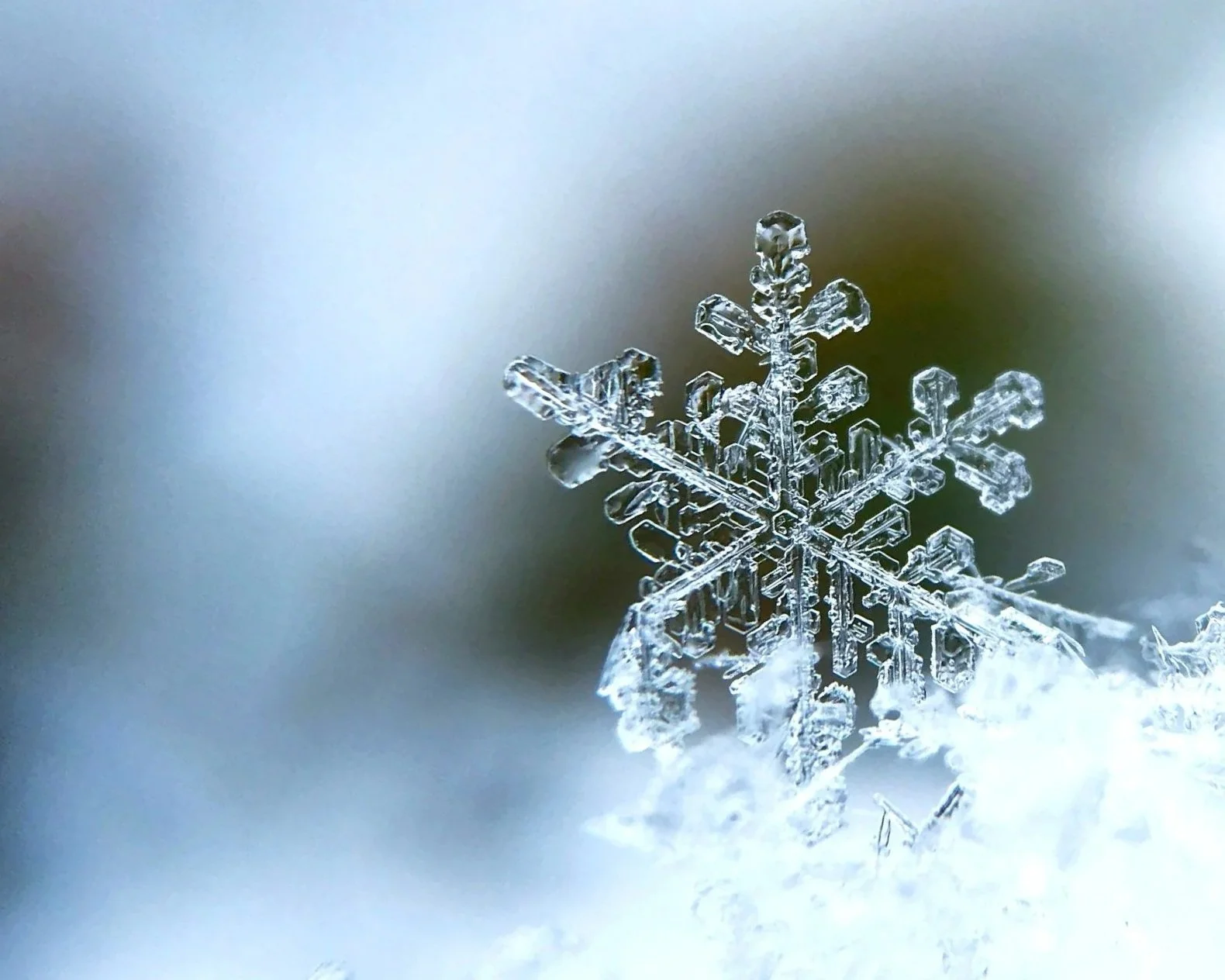 Close-up of a detailed snowflake crystal on snow.