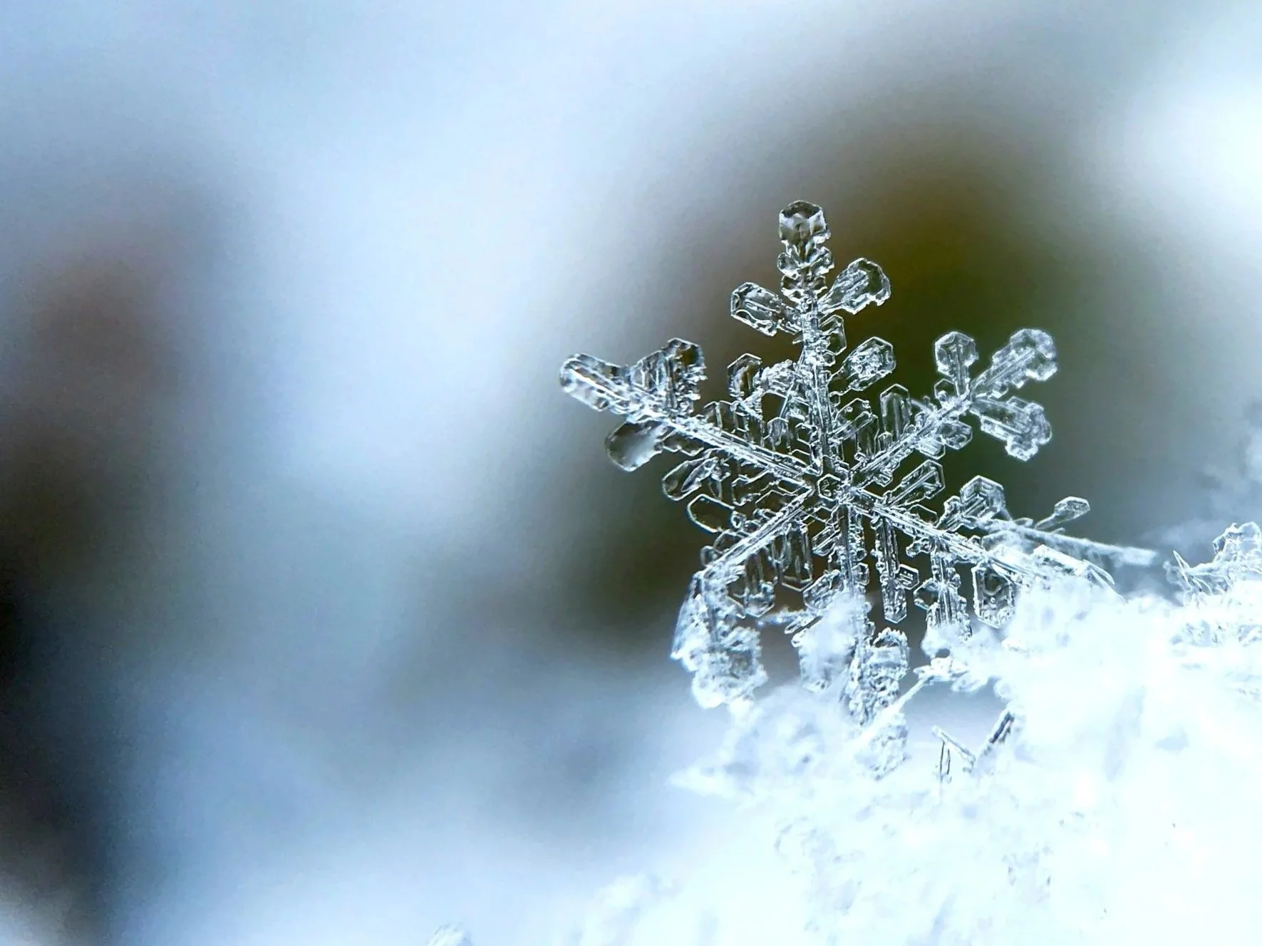 Close-up view of a single snowflake resting on snow, with a blurred background.