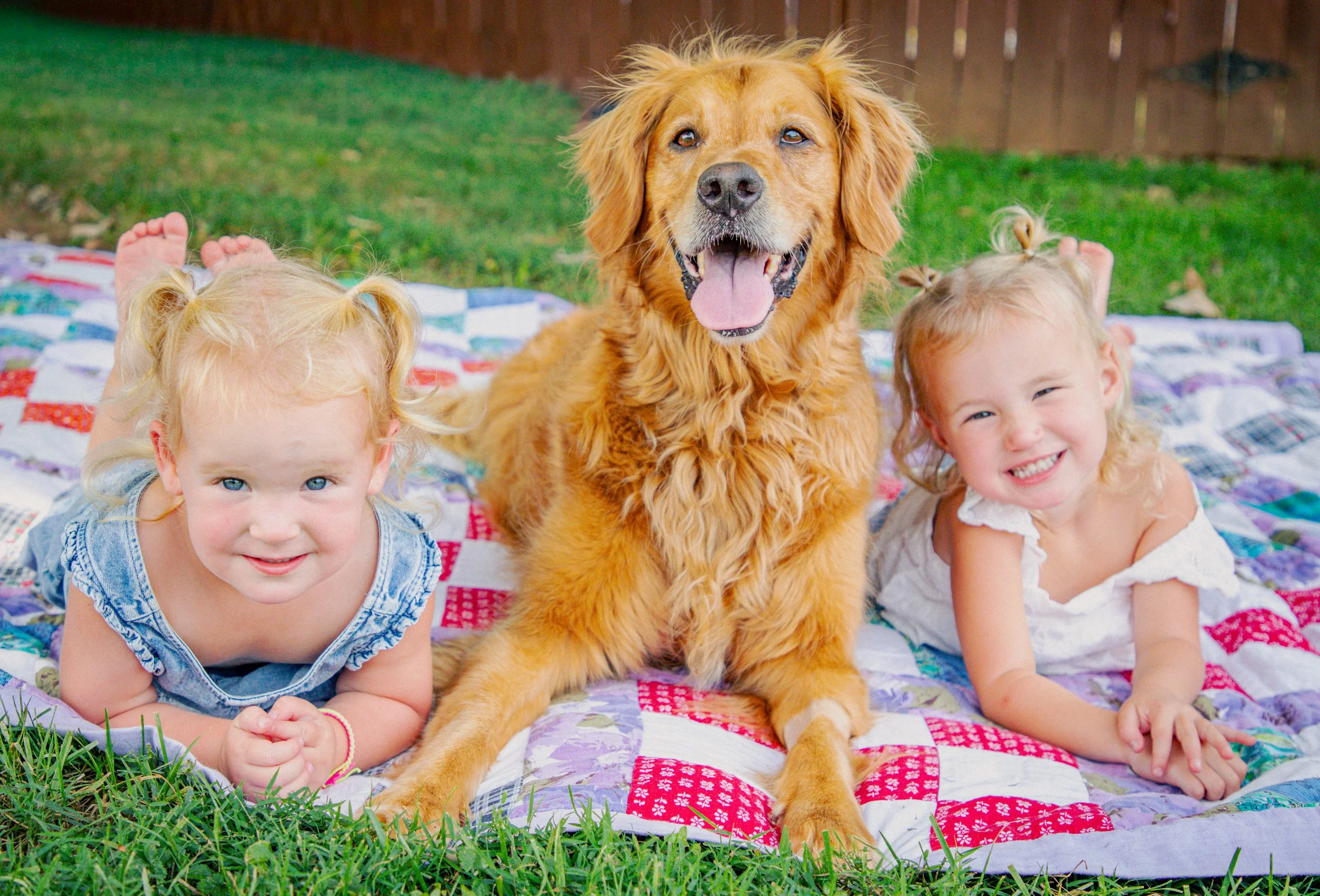 Two young girls and a golden retriever dog lying on a colorful quilt outdoors on grass with a wooden fence in the background.