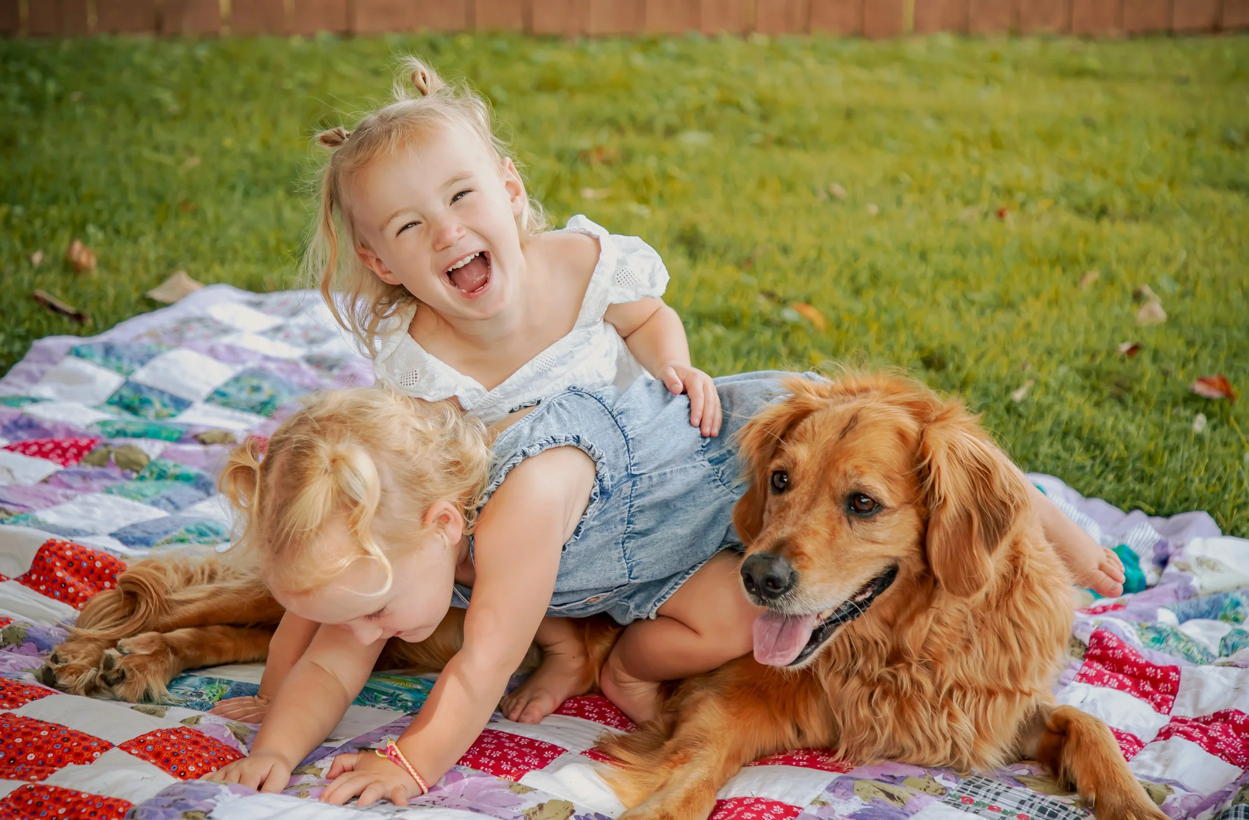 Two young children and a golden retriever puppy playing on a colorful quilt outdoors with grass and a brick wall in the background.