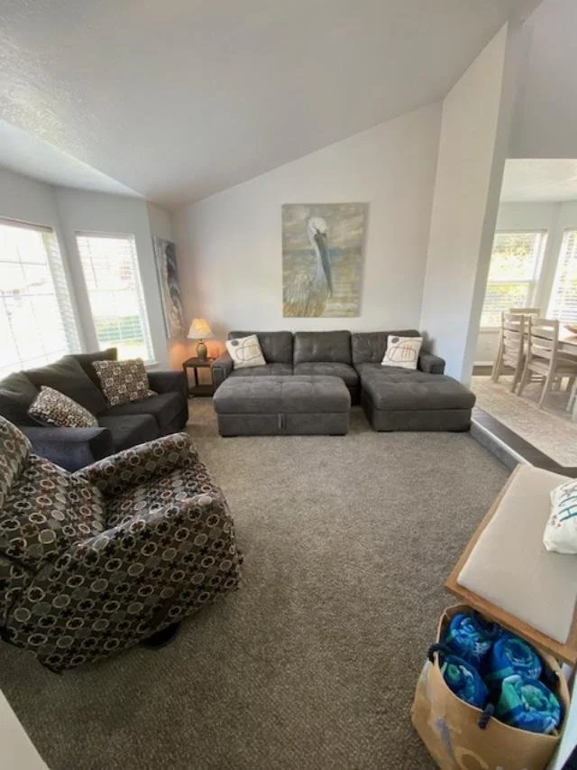 living room - use.jpeg