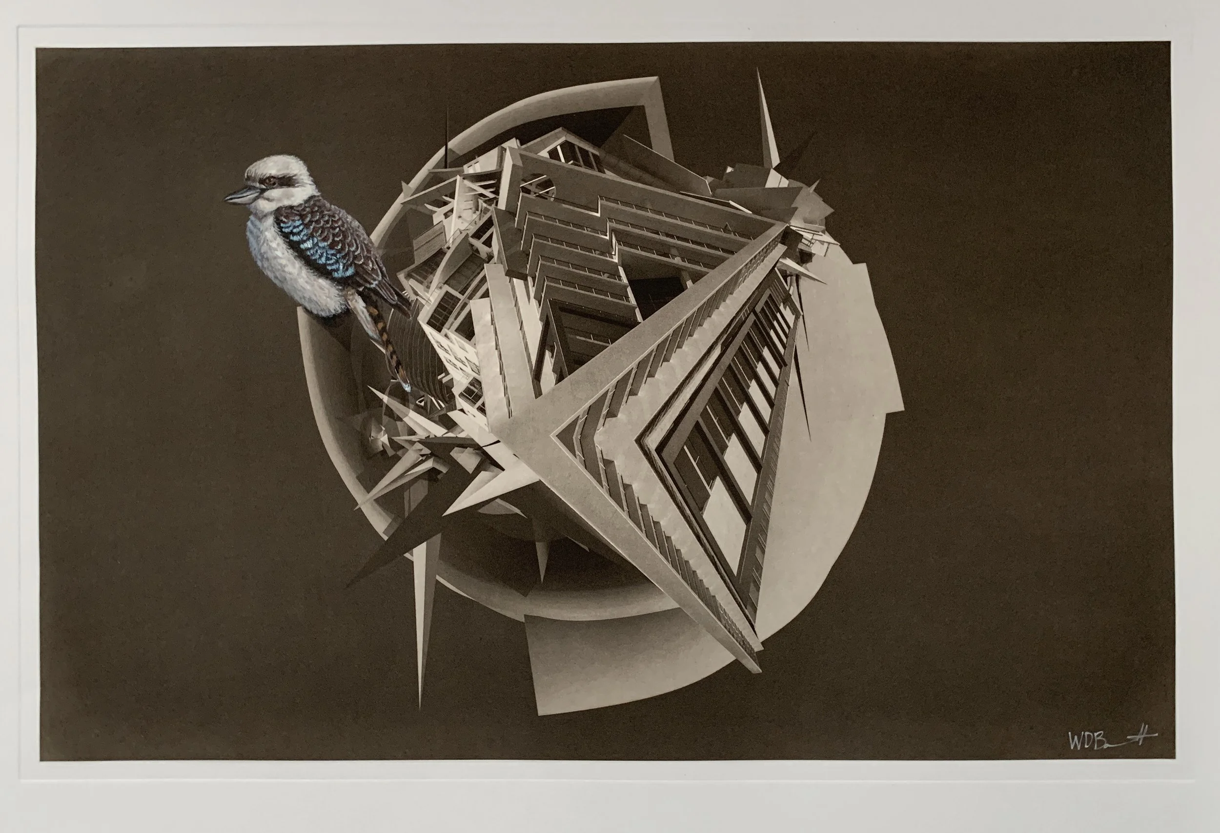 Wildlife Art Museum of Australia (WAMA) Finalist