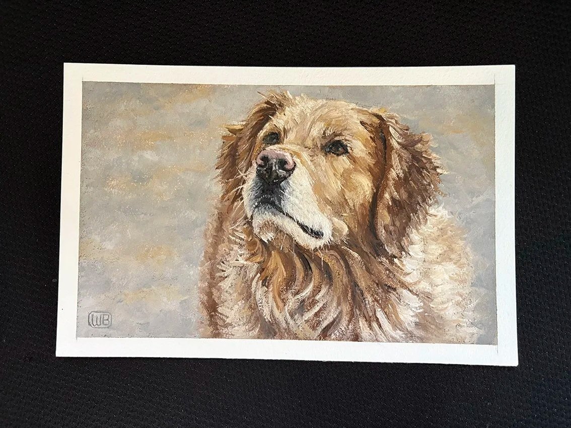 Photo reference supplied by Warren Bonett