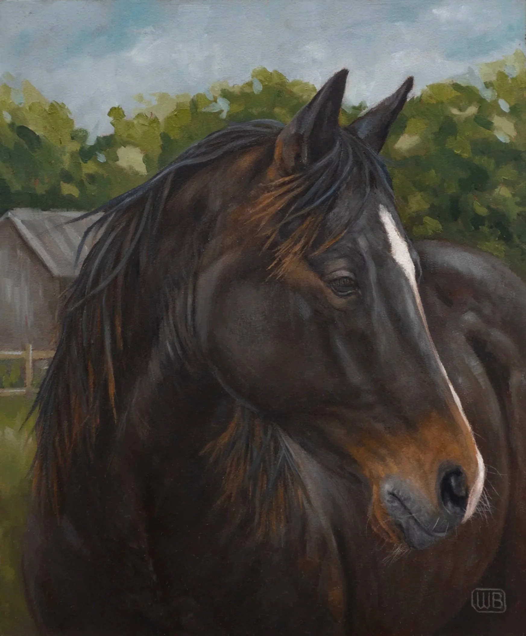 Horse-dusty-lr.jpg