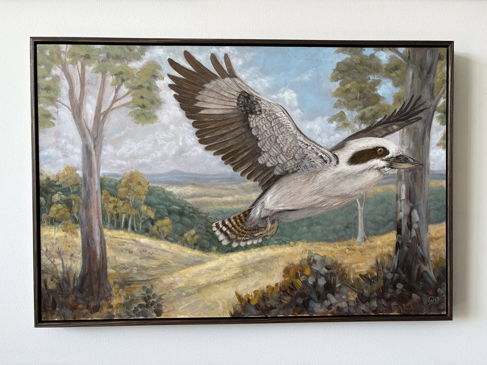 Australian wildlife oil painting of a Kookaburra in Flight