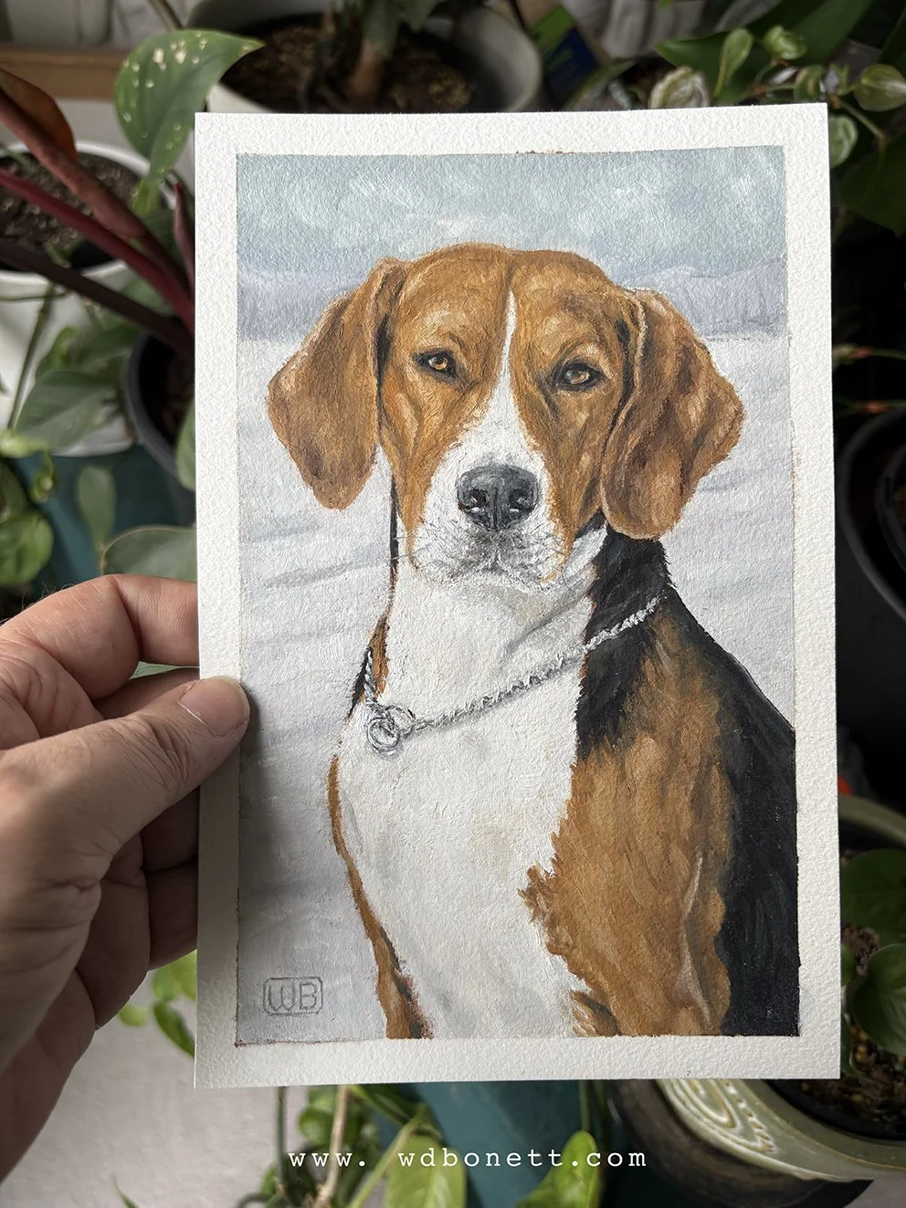 Photo reference supplied by  Emmet Nordström 