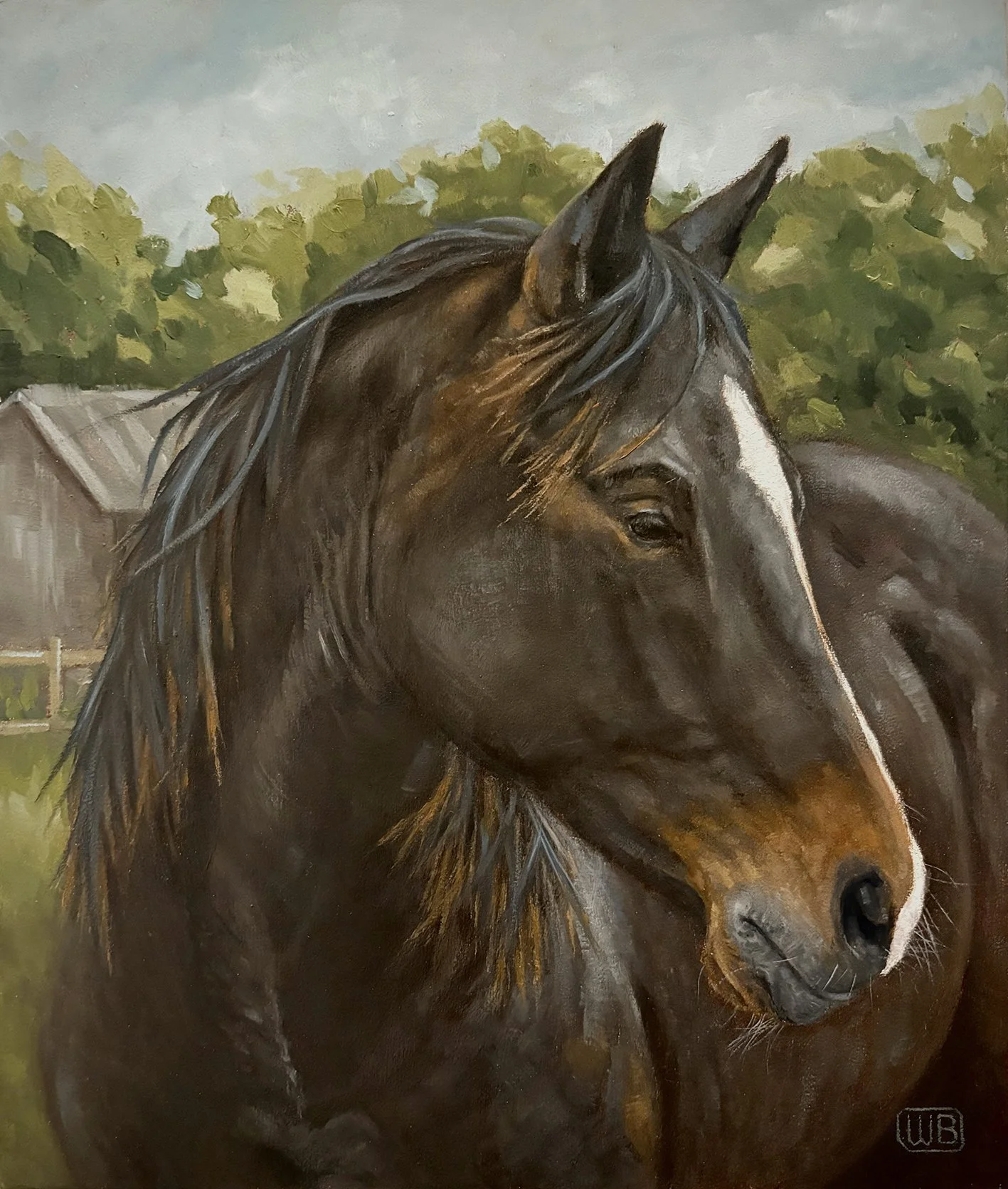 The Quarter Horse Dusty, photo supplied by Sabine Go