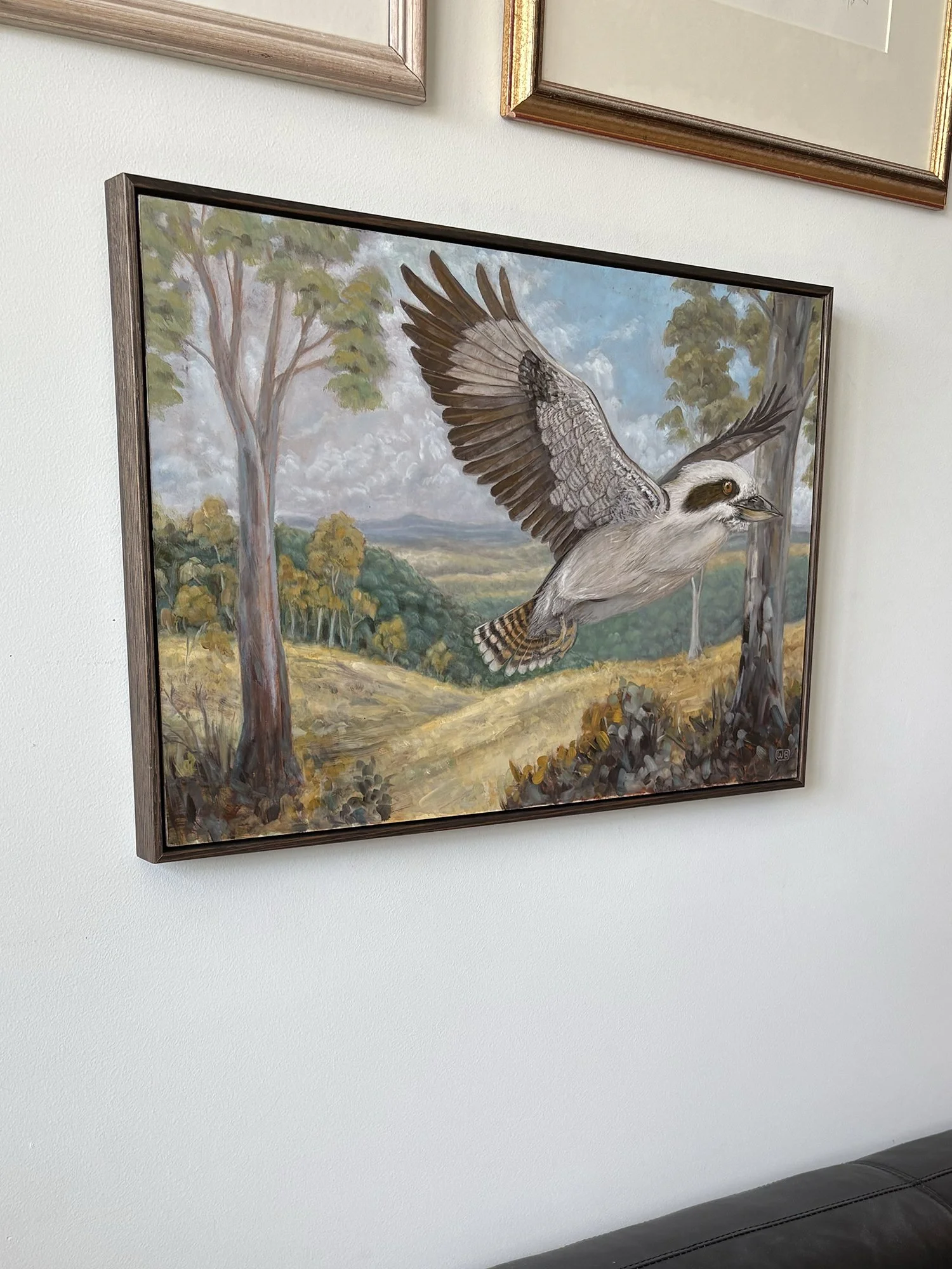 Australian wildlife oil painting of a Kookaburra in Flight