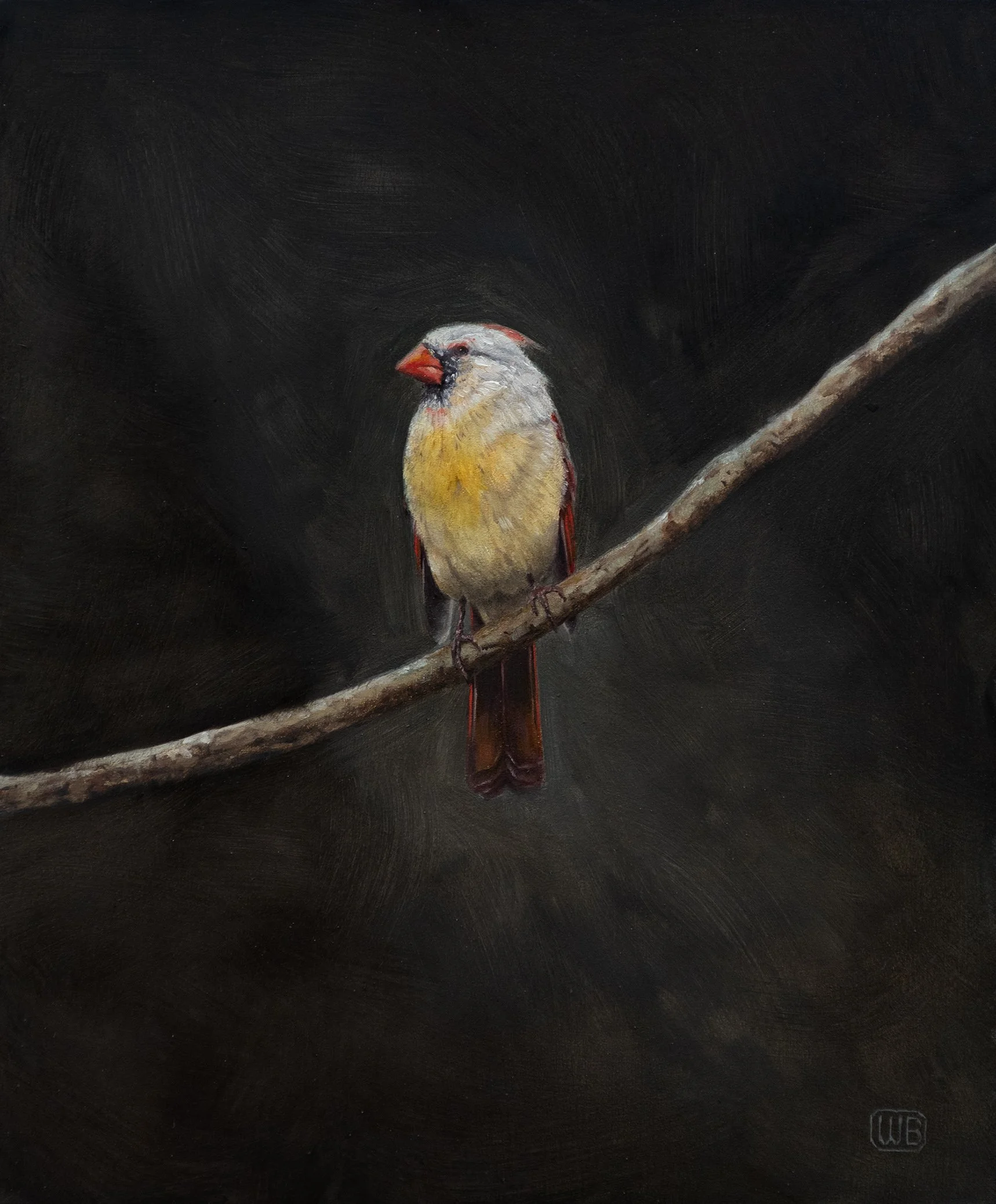 cardinal-1lr.jpg