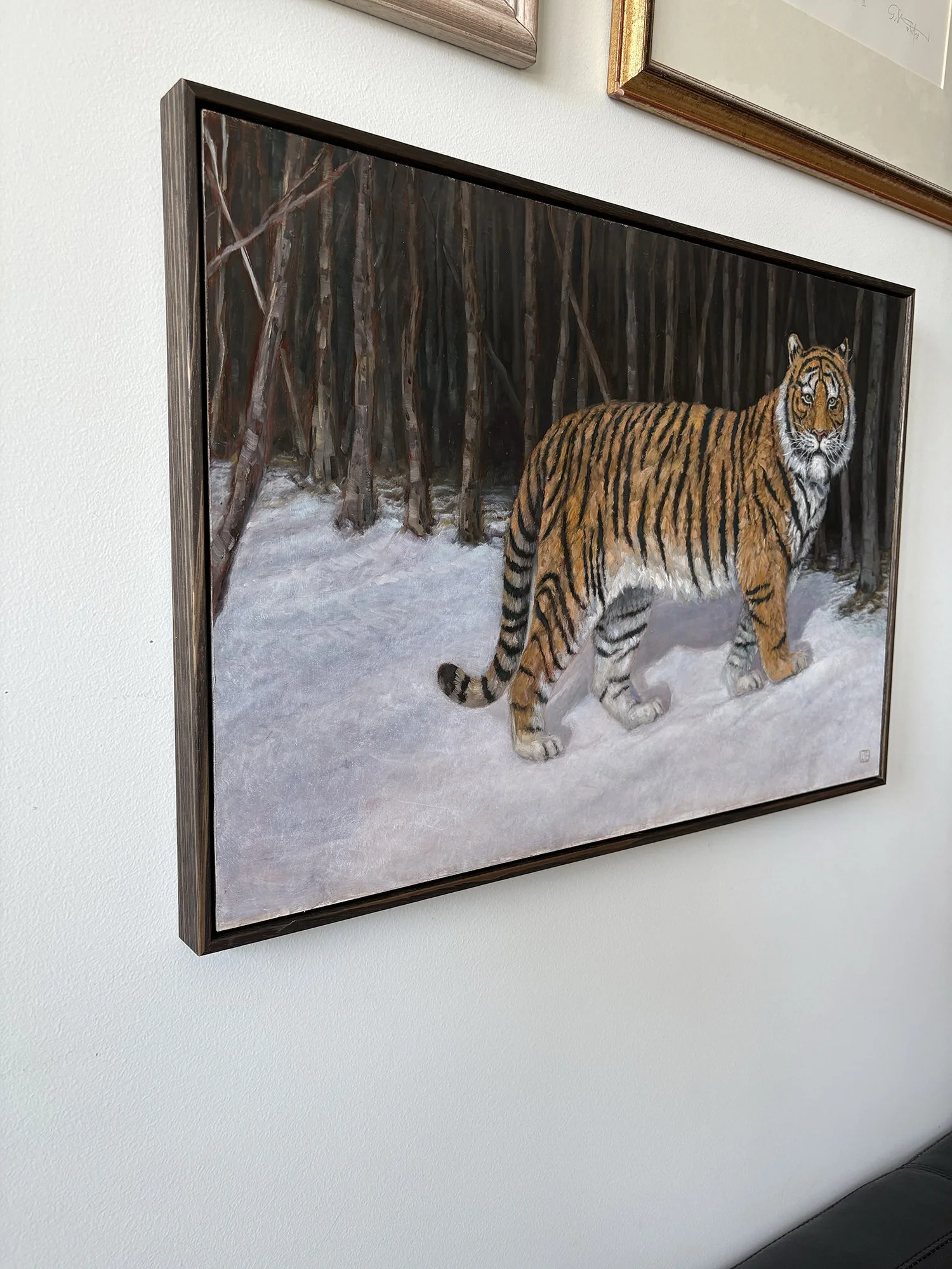 Wildlife oil painting of a tiger