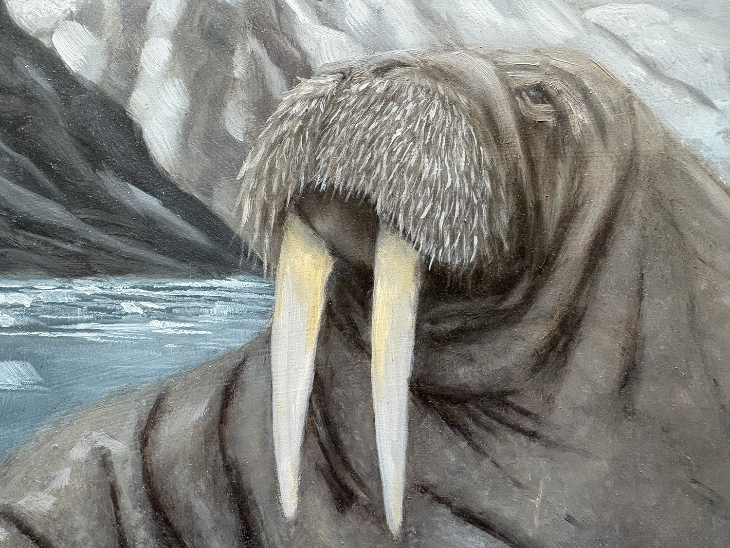 Wildlife oil painting of a Walrus