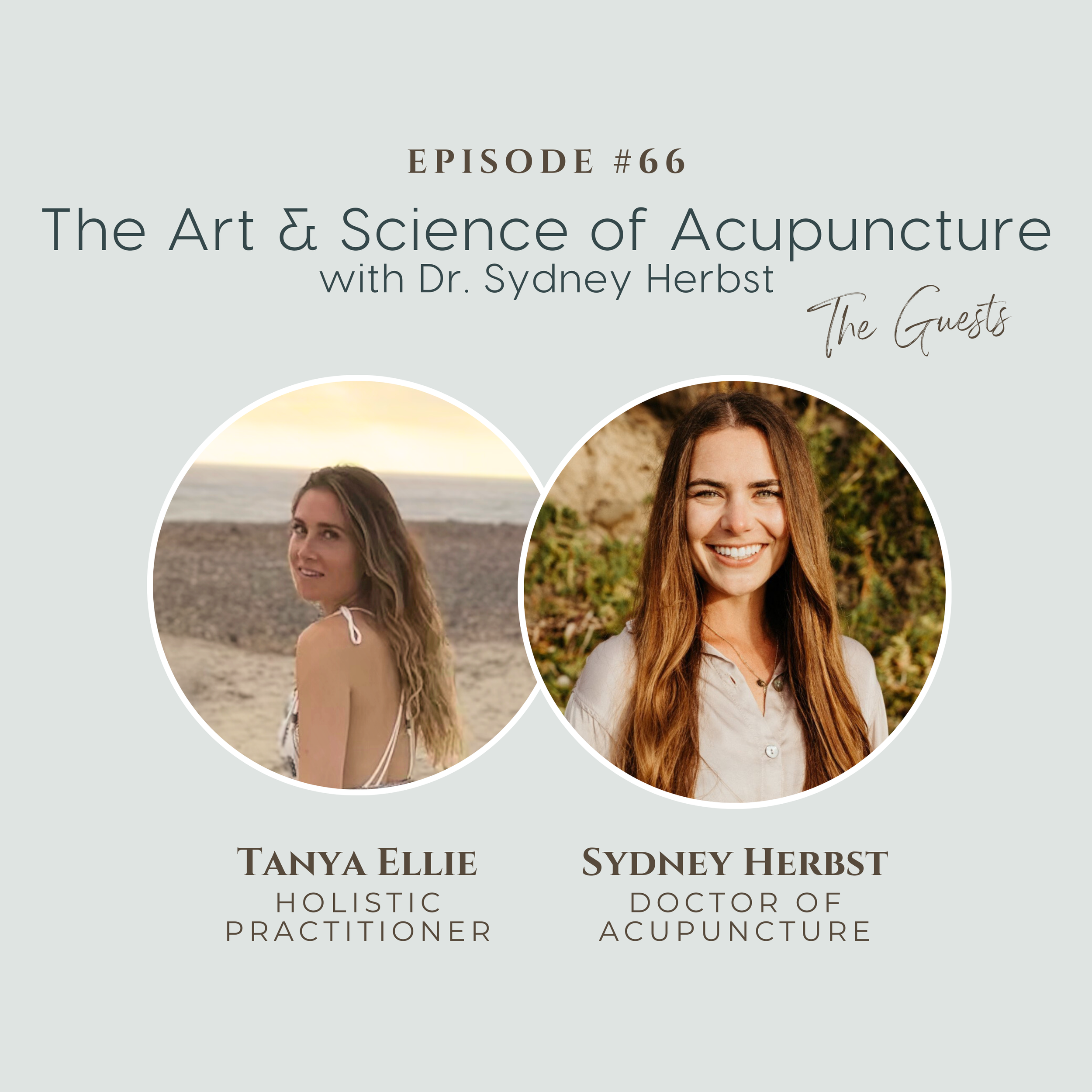 The Guest Series, Ep 5: The Art and Science of Acupuncture with Dr. Sydney Herbst (Using Chinese Medicine to Balance the Body)
