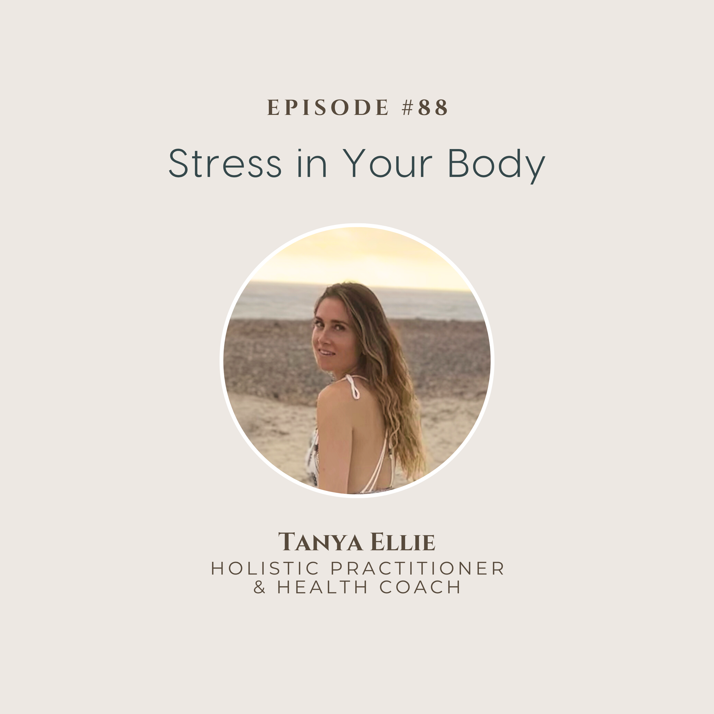 Stress in Your Body: Its Physical Connection with Your Gut, Hormones, Metabolism, Energy, and Overall Health