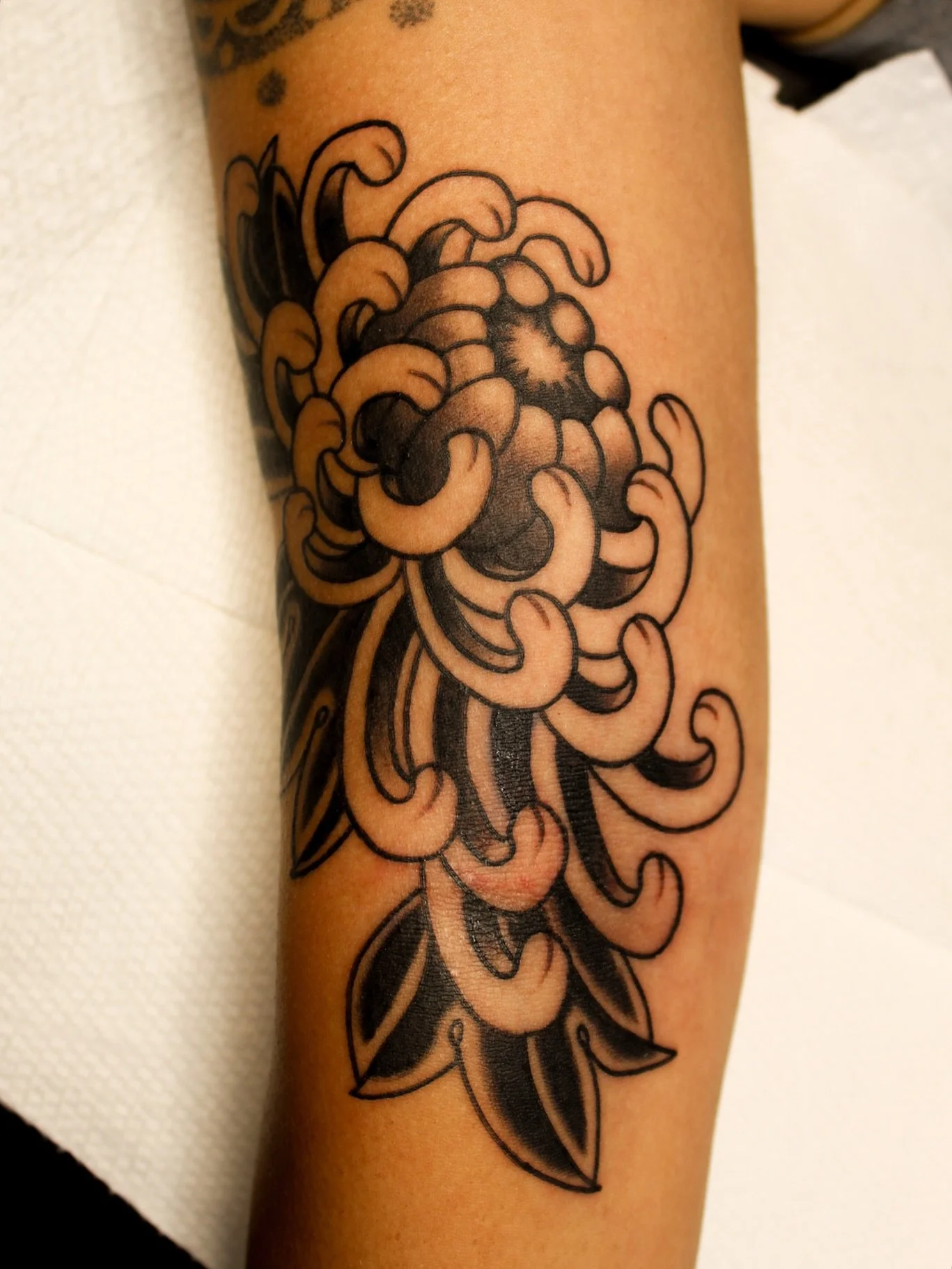 Wrap around chrysanthemum
Made @stayhumbletattooco 

kehrmietattoos.com//kehrmietatts@gmail.com

#TraditionalTattoo #TattooArtist #BayAreaTattoos #Berkeleytattoo #SanFranciscoTattoo #TattooFlash #Tattoo #Inked #TattooCulture #Inked #Tattoo