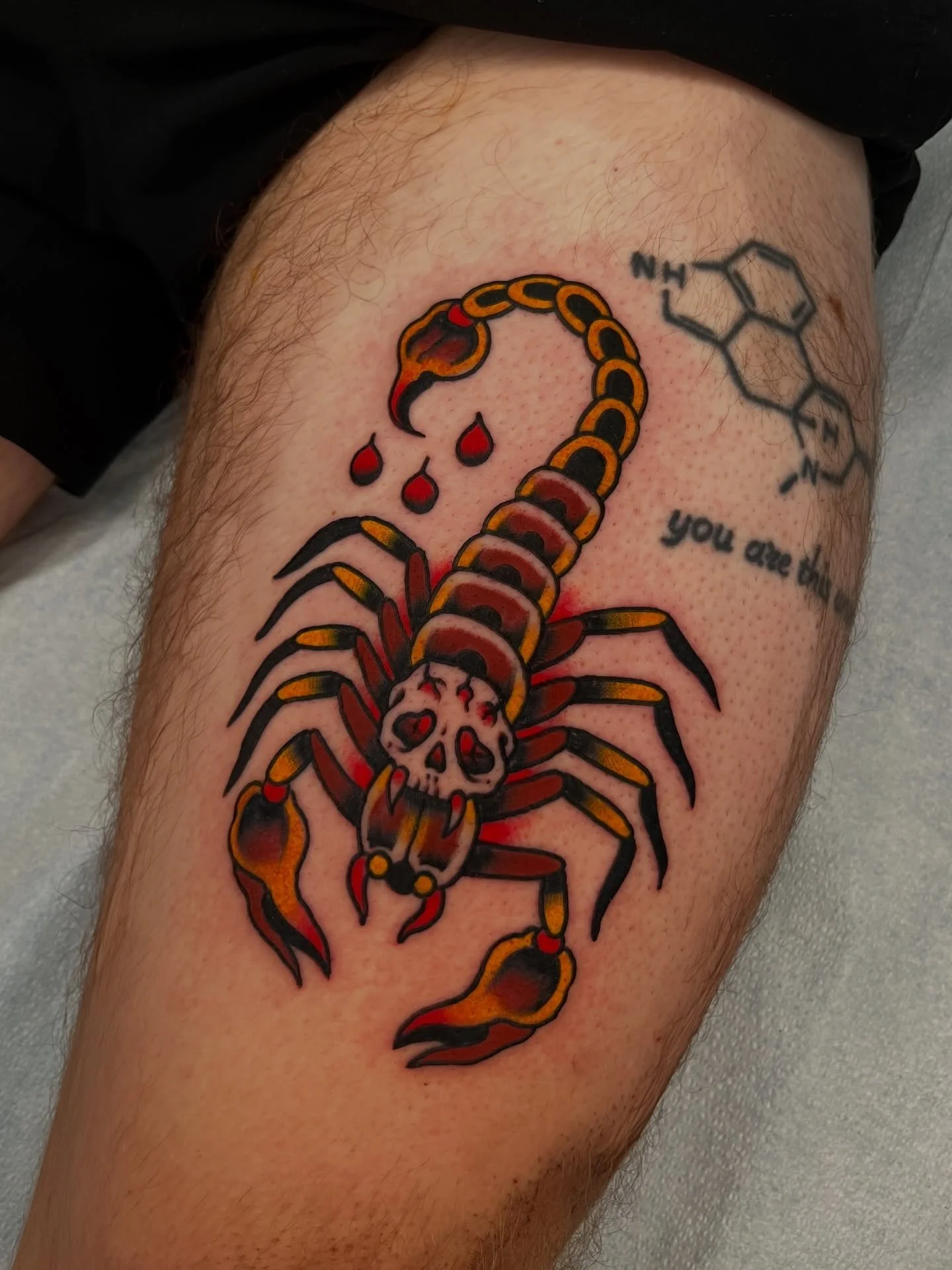 Skullpion  for Hugo! 🦂💀 been doing a lot of fun versions of these lately!

kehrmietattoos.com // kehrmietatts@gmail@com to book

#tattoo #tattoos #traditionaltattoo #traditionalflash #berkeley