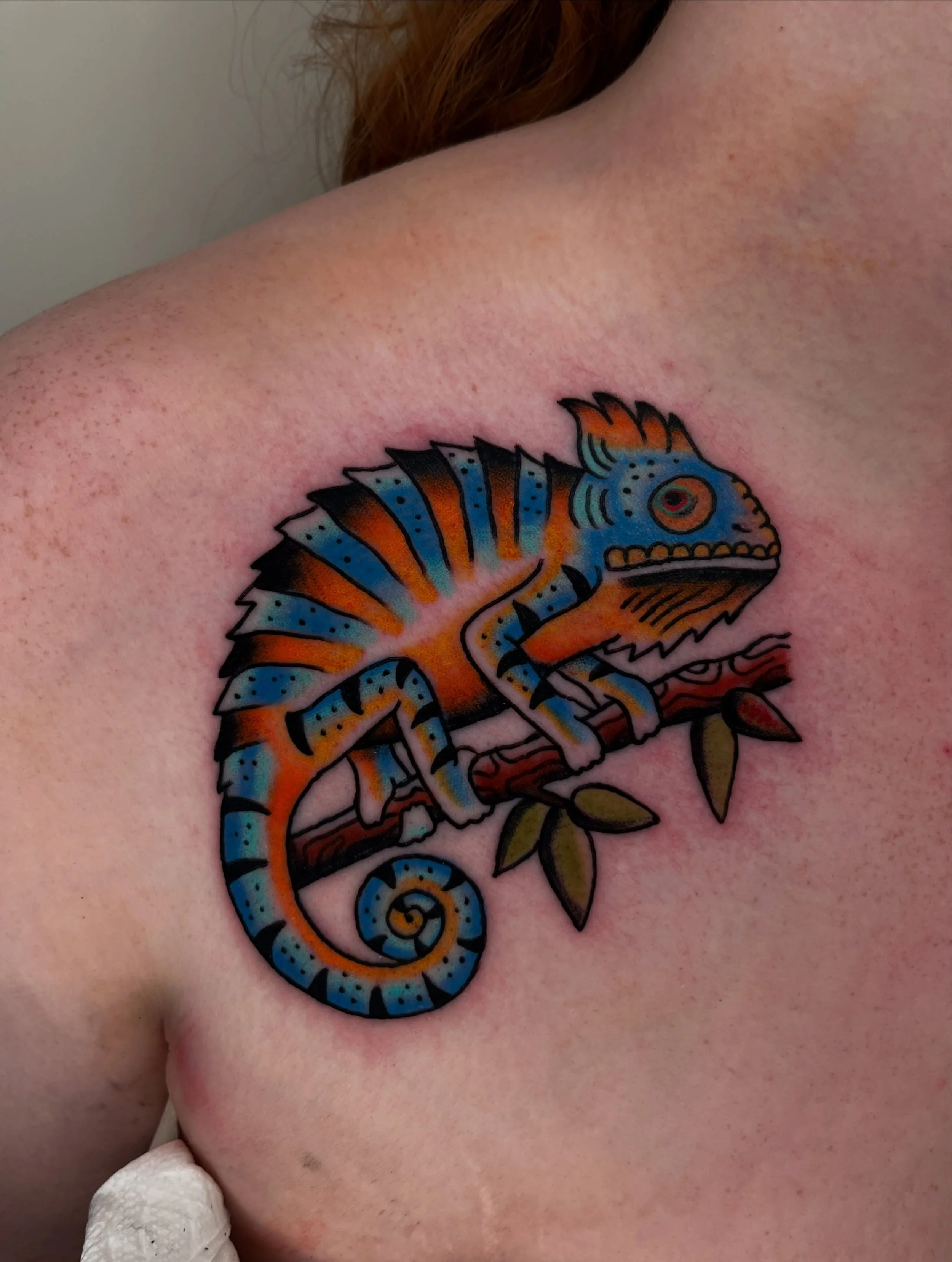 Colorful chameleon as a walk in! Had a great time with this one, thank you! 💙🦎

kehrmietattoos.com // kehrmietatts@gmail.com to book

#traditionaltattoo #bayarea #tattoo #tattoos #telegraphberkeley